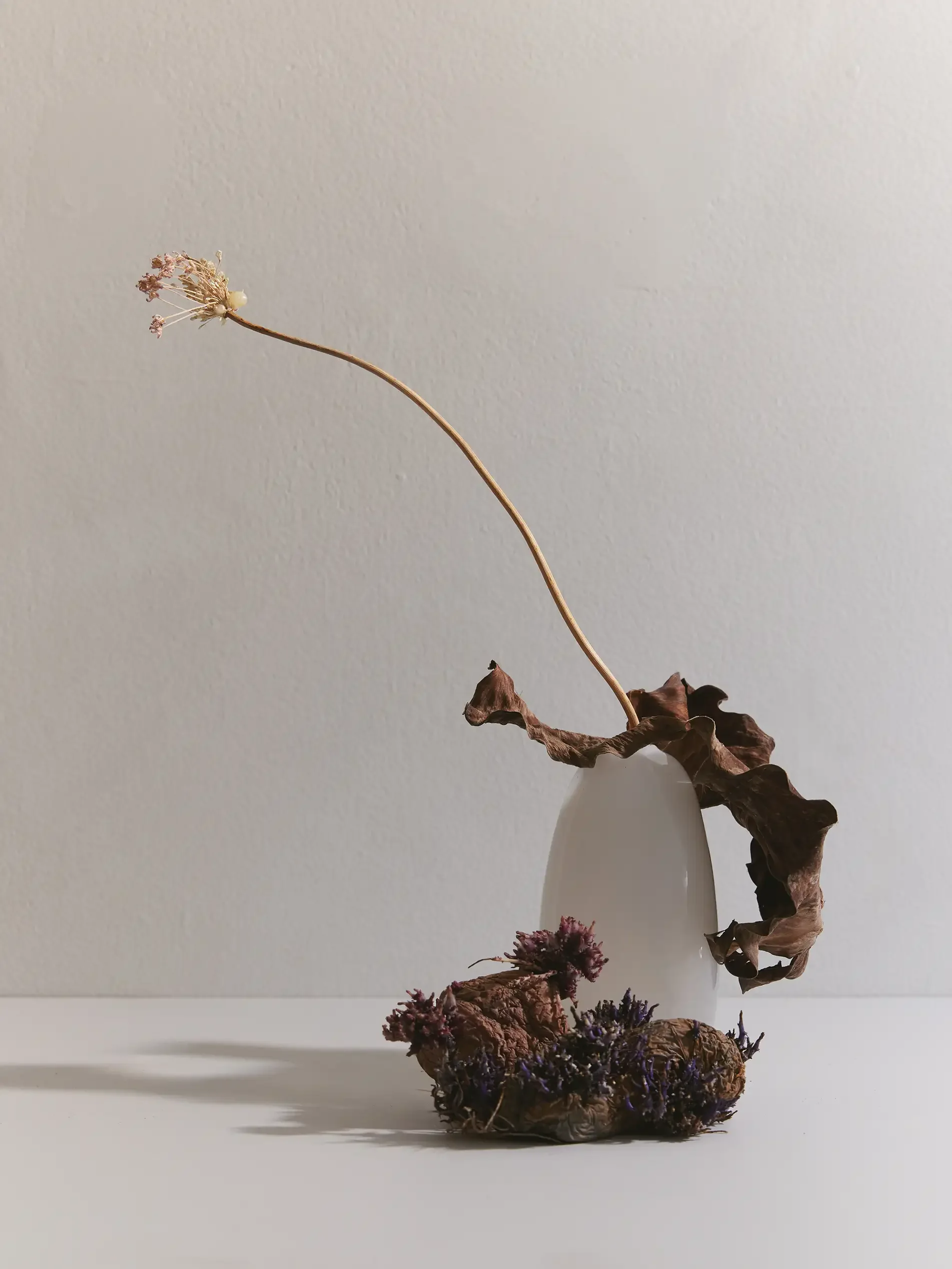 Dry flowers and leaves arranged in a white vase, placed on a flat surface against a plain wall.