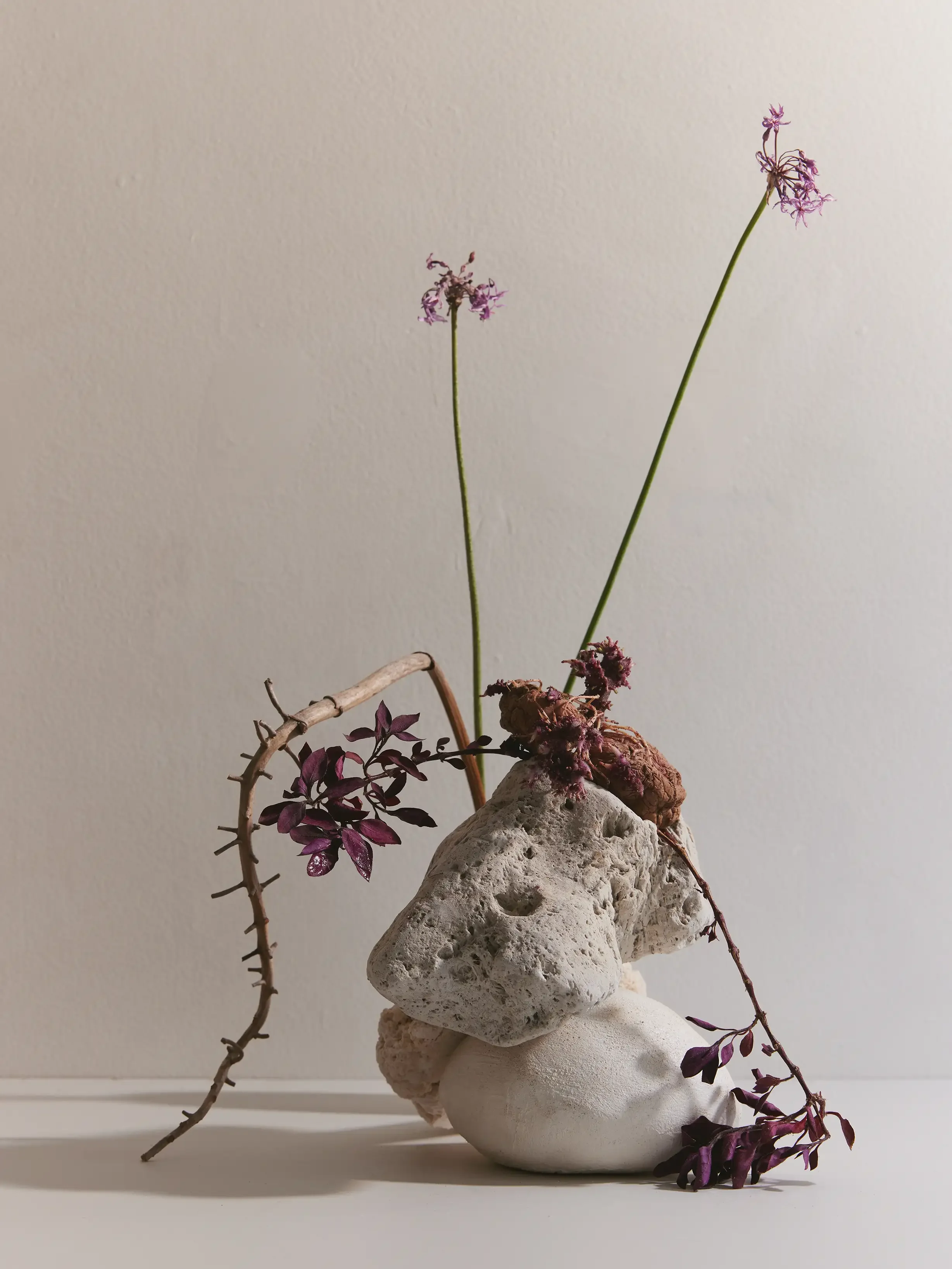 Arrangement of rocks, dried twigs, and purple plants against a plain white background.