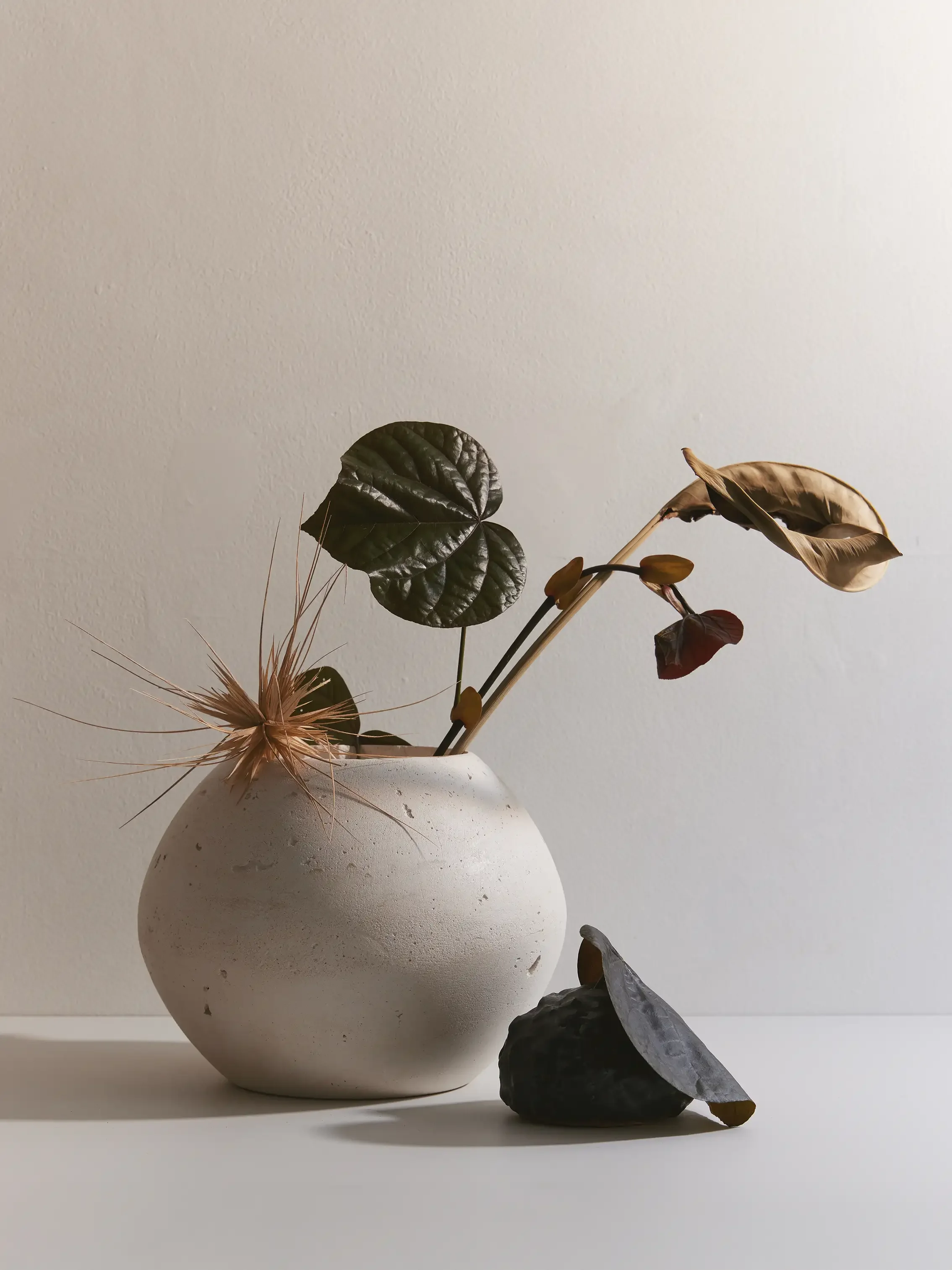 A white, round ceramic vase with a textured surface on a white surface, holding dried and withered leaves and plants, accompanied by dark rocks. The background is a plain off-white wall.