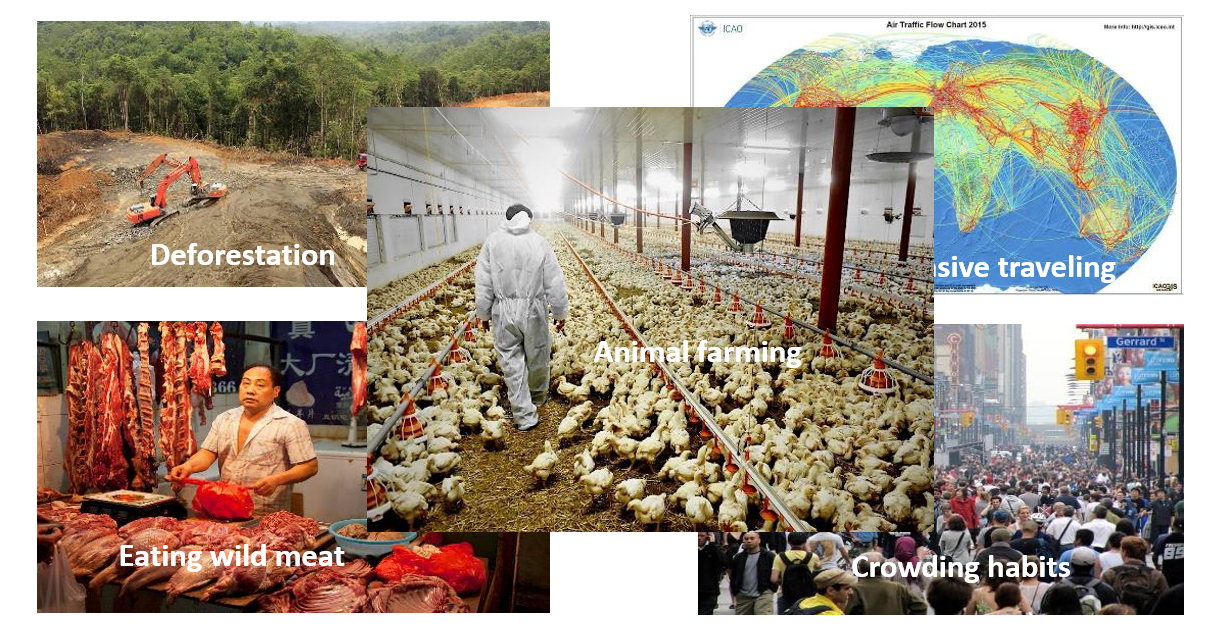 Climate and epidemics