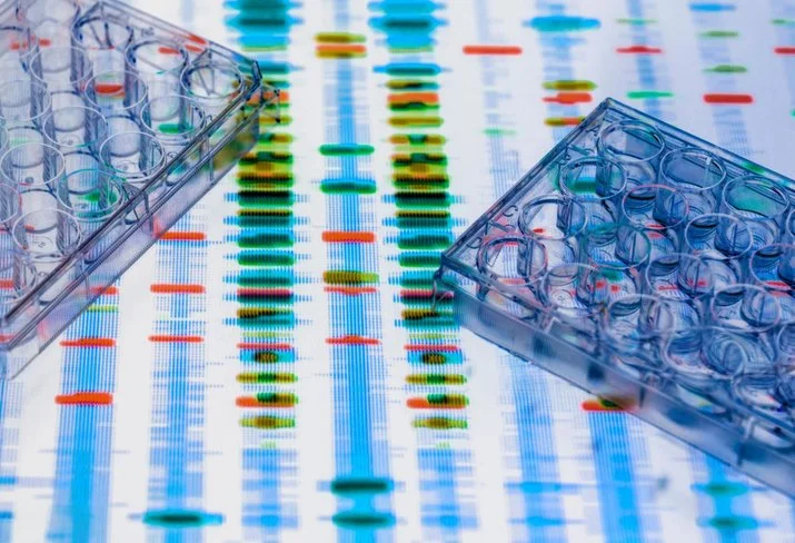 Genomic diversity of Mycobacterium tuberculosis in Ethiopia