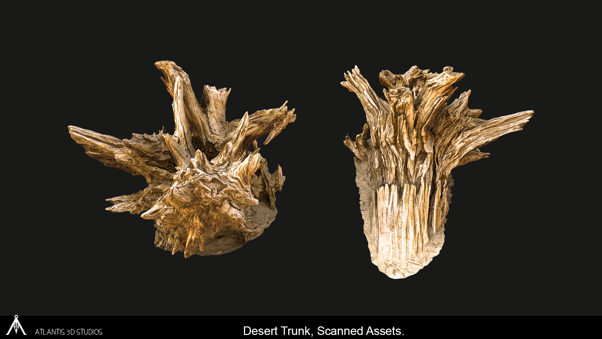 DesertTrunk002.png
