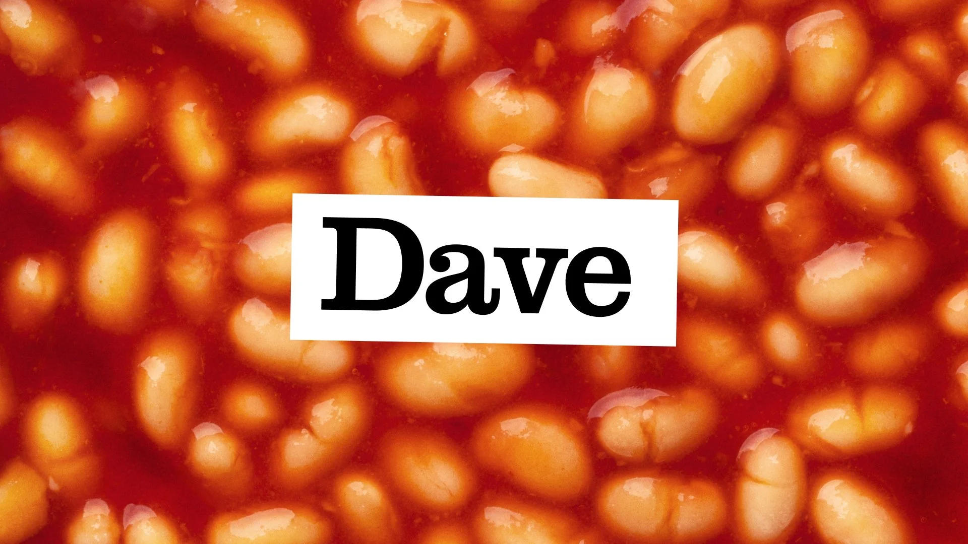 DaveHeader.jpg