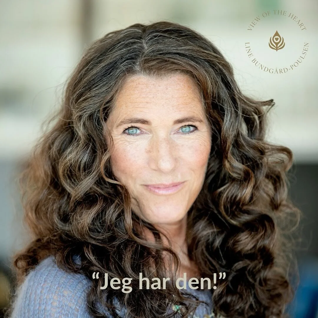 &rdquo;Jeg har den!&rdquo;
Denne s&aelig;tning er en af de vigtigste, jeg har l&aelig;rt at t&aelig;nke og ikke mindst sige h&oslash;jt.
Det er en s&aelig;tning, jeg ville have &oslash;nsket, jeg kunne have sagt med st&oslash;rste sikkerhed, da min v