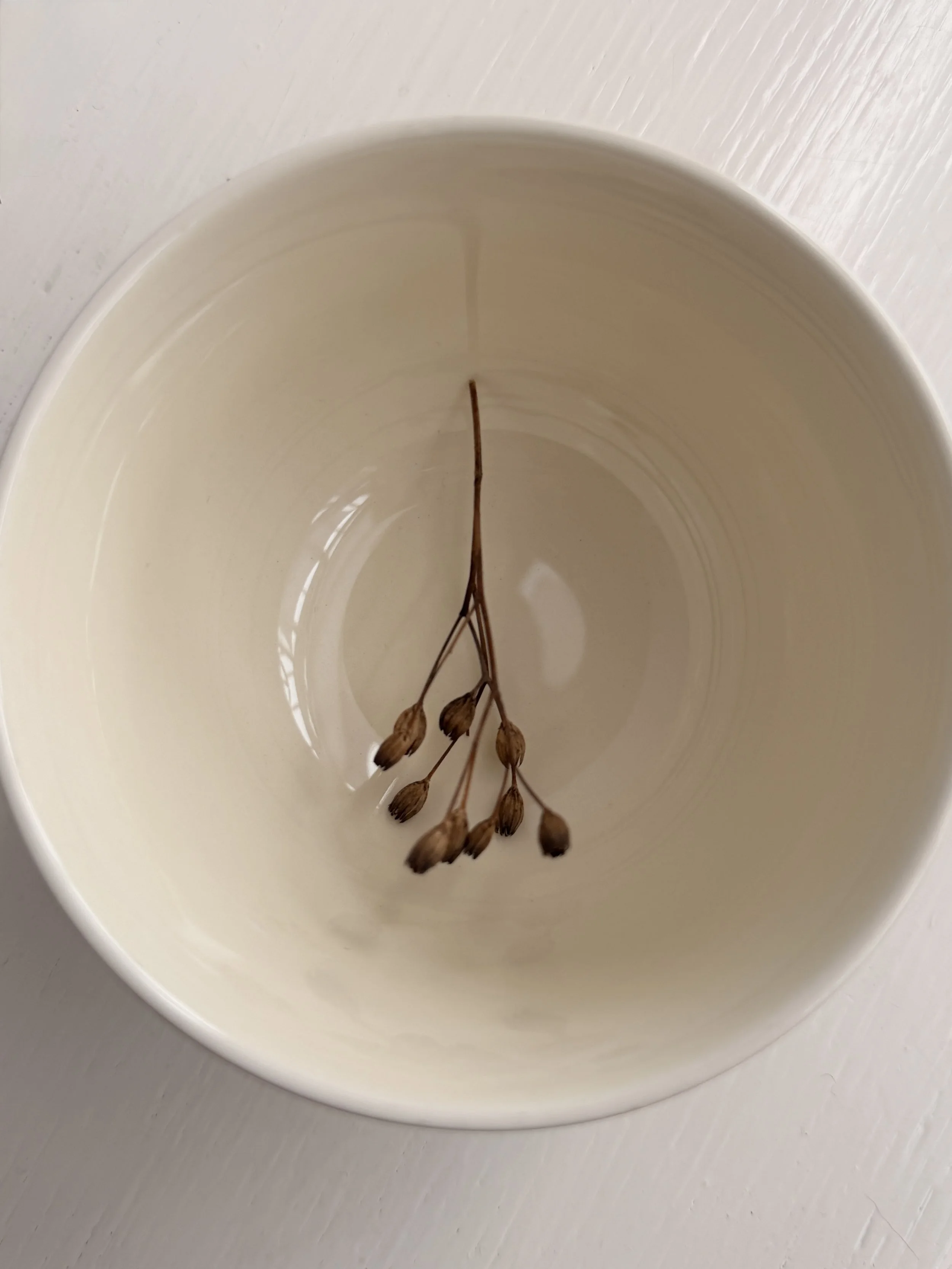 A top-down view of the open creamware sugar basin by Wedgwood.