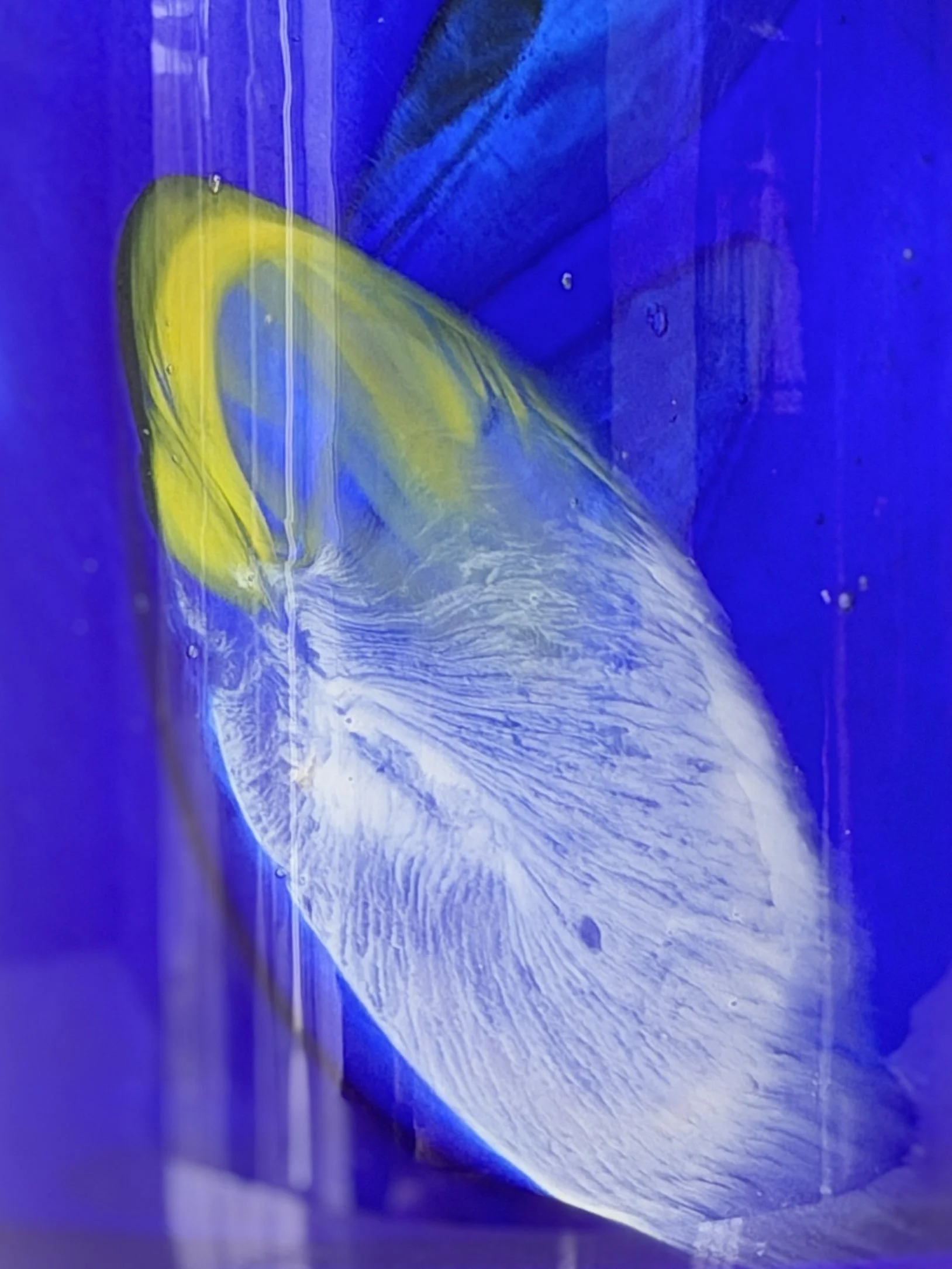 Close-up of the hand-blown glass texture showing tiny unique air bubbles within the deep blue hue