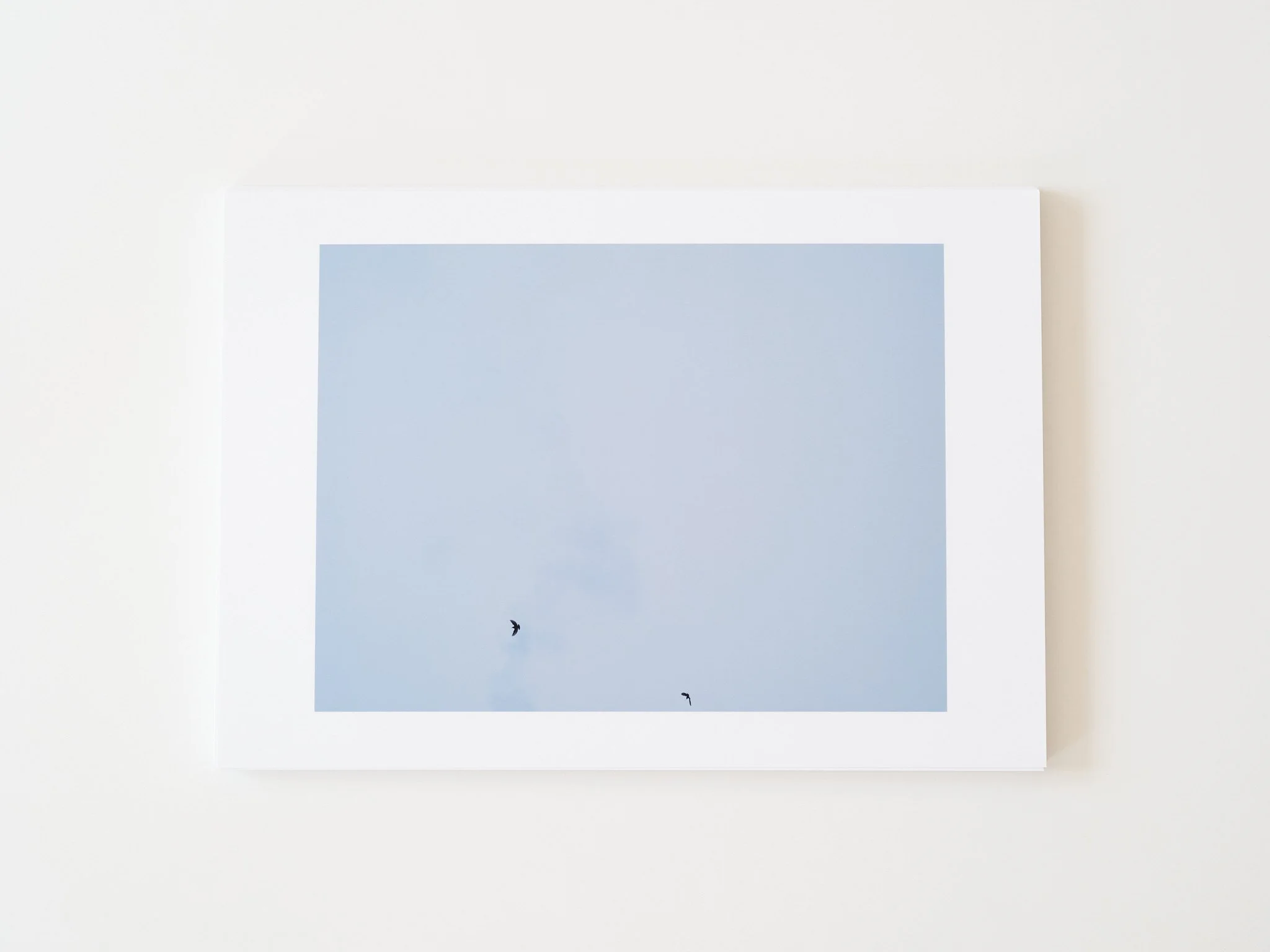 GC-Standards-SmallSmall-BlueBirds-Print.jpg