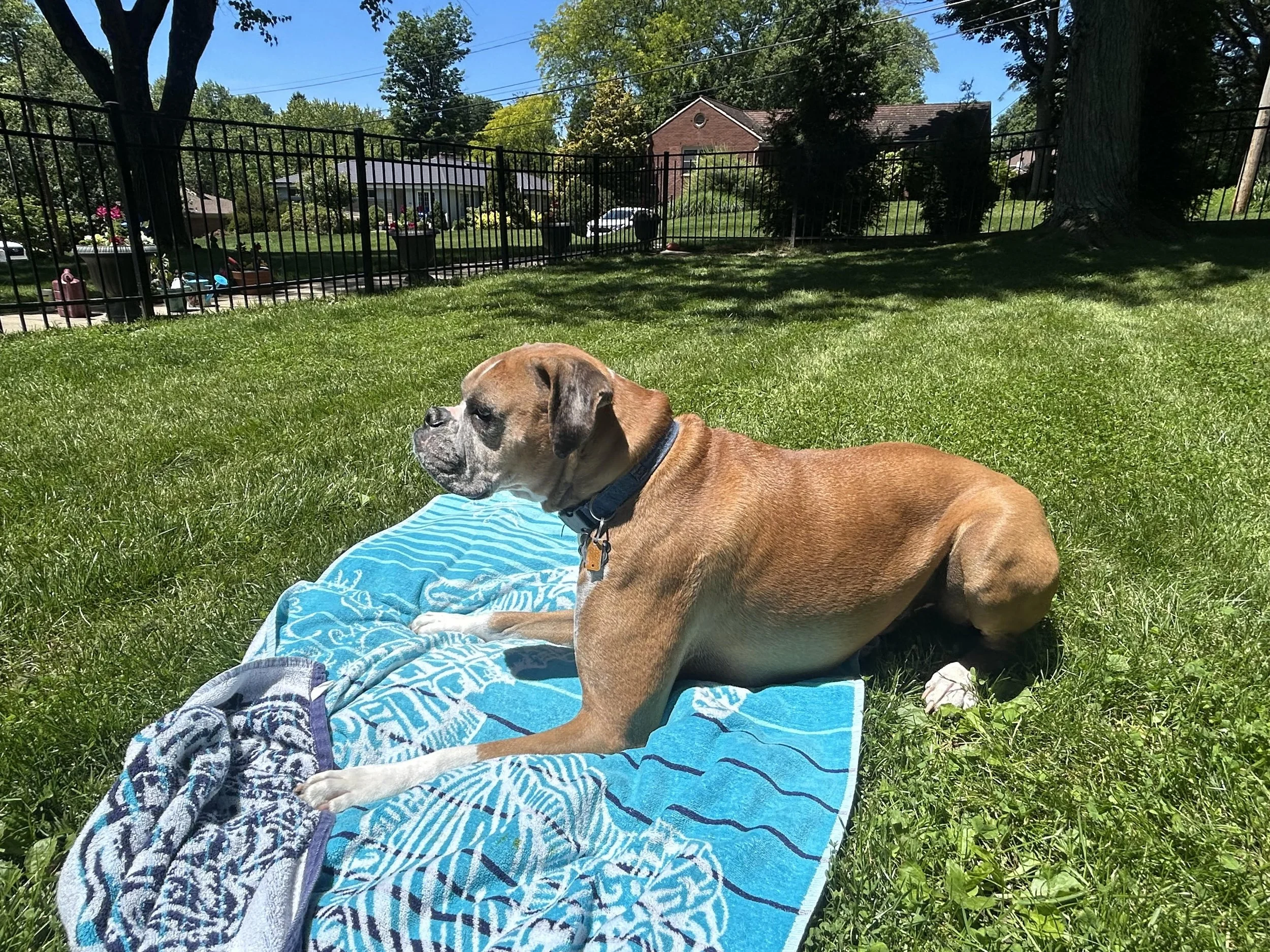 Who Doesn’t Love a Little Sunshine?