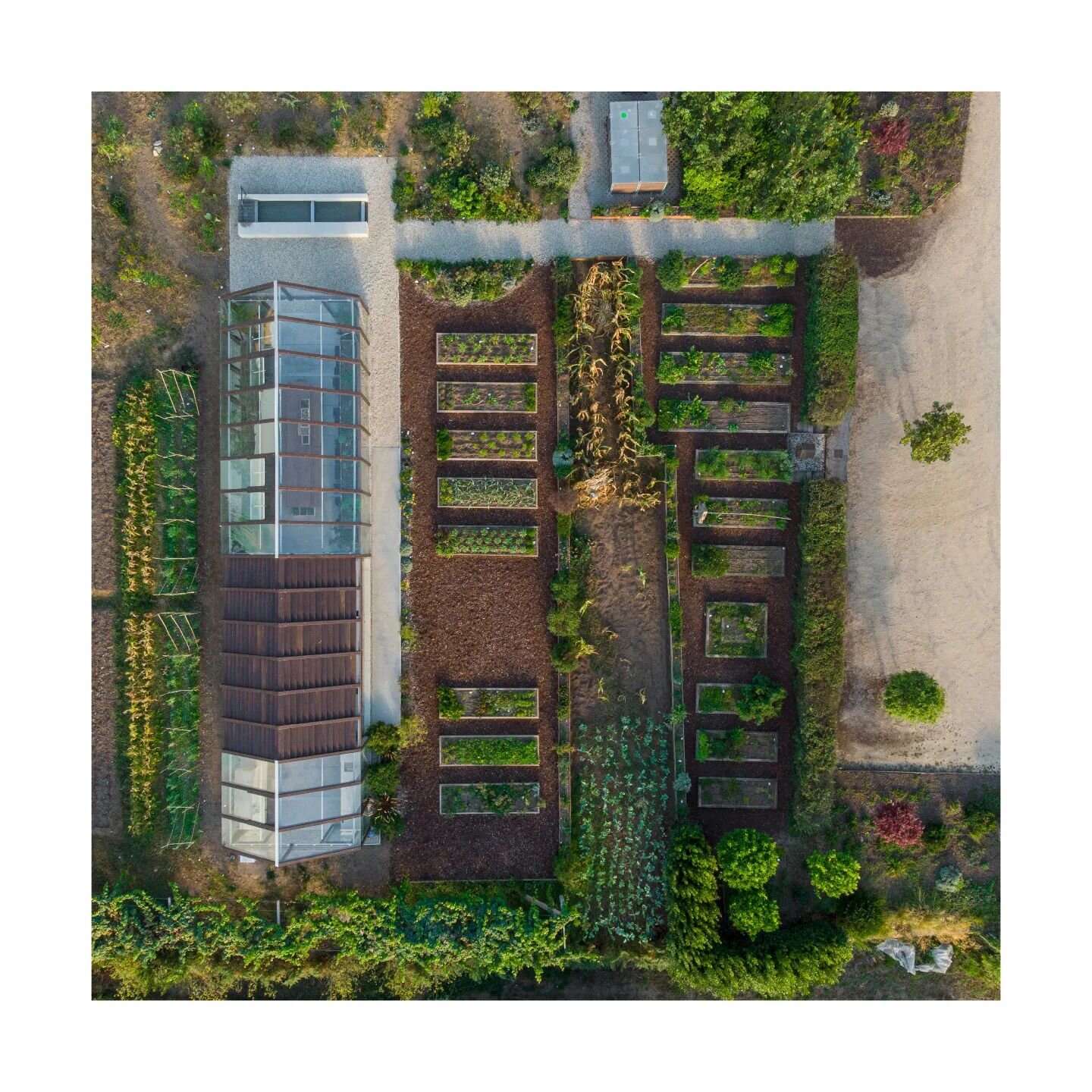 Horta e invernadoiro para o restaurante Culler de pau, O Grove, 2021
@cullerdepau 
📷 @hector_santosdiez
