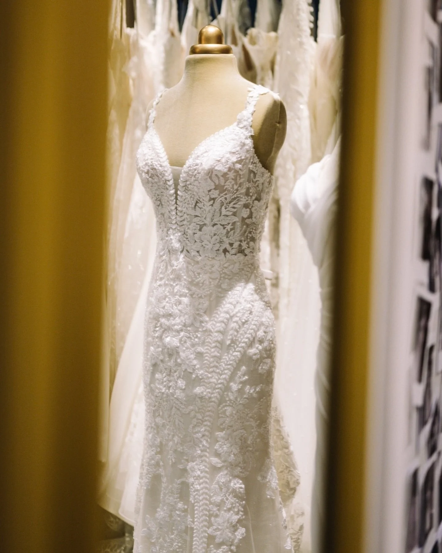 A glance is all it took....

Find your dream dress with us here at Shade Bridal Boutique. We just know you are going to love it here 💍

#bridalboutiquenottingham #bridalboutique #bridalshopsnottingham #weddingdressshopsnottingham #weddingdressesnott