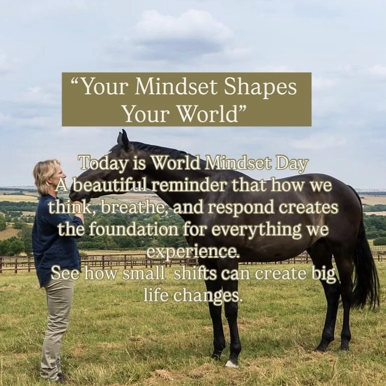 Today is World Mindset Day 

An opportunity to pause, breathe, and check in with how you&rsquo;re thinking, feeling, and showing up.
Your mindset shapes your energy, choices, and wellbeing &mdash; and the good news? You can nurture it every single da