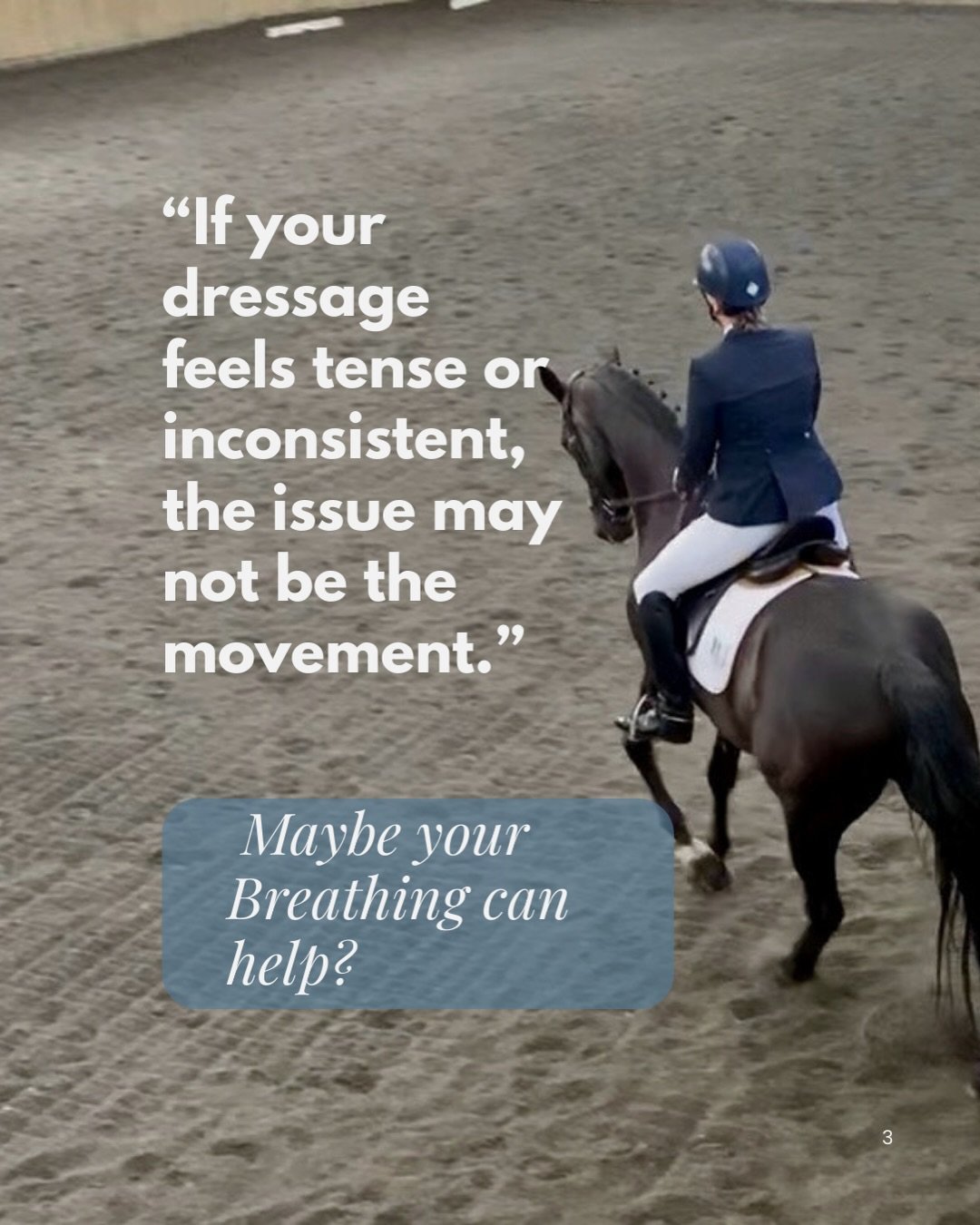 Setting the foundations for success

In dressage, everything starts with the foundations &mdash; rhythm, relaxation, balance, and connection.
We practise the basics not because they&rsquo;re easy, but because they support every movement that follows.