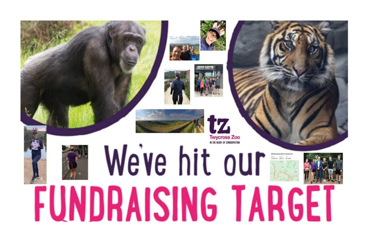 fundraising-cover-1200x800.jpg