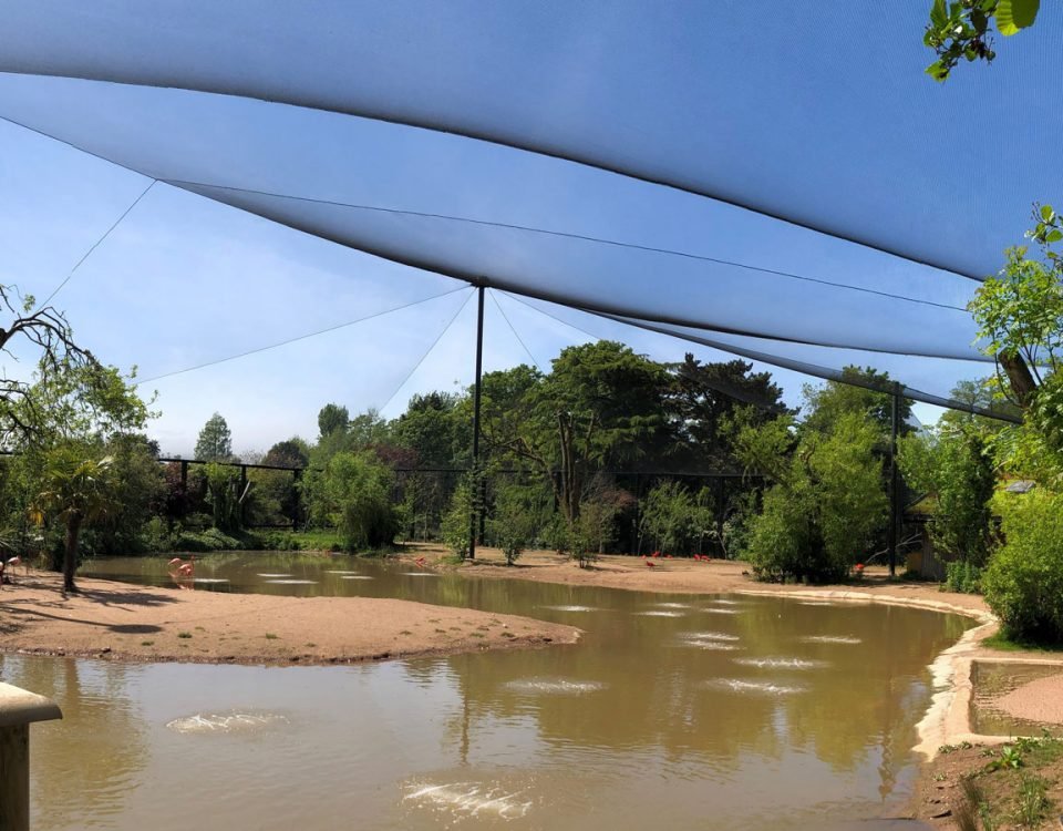 Chester Zoo/Latin American Wetland Aviary, Cheshire