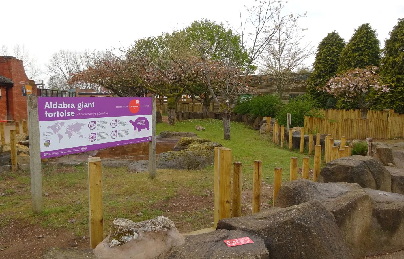 Andy-H-Tortoise-Enclosure-4.jpg