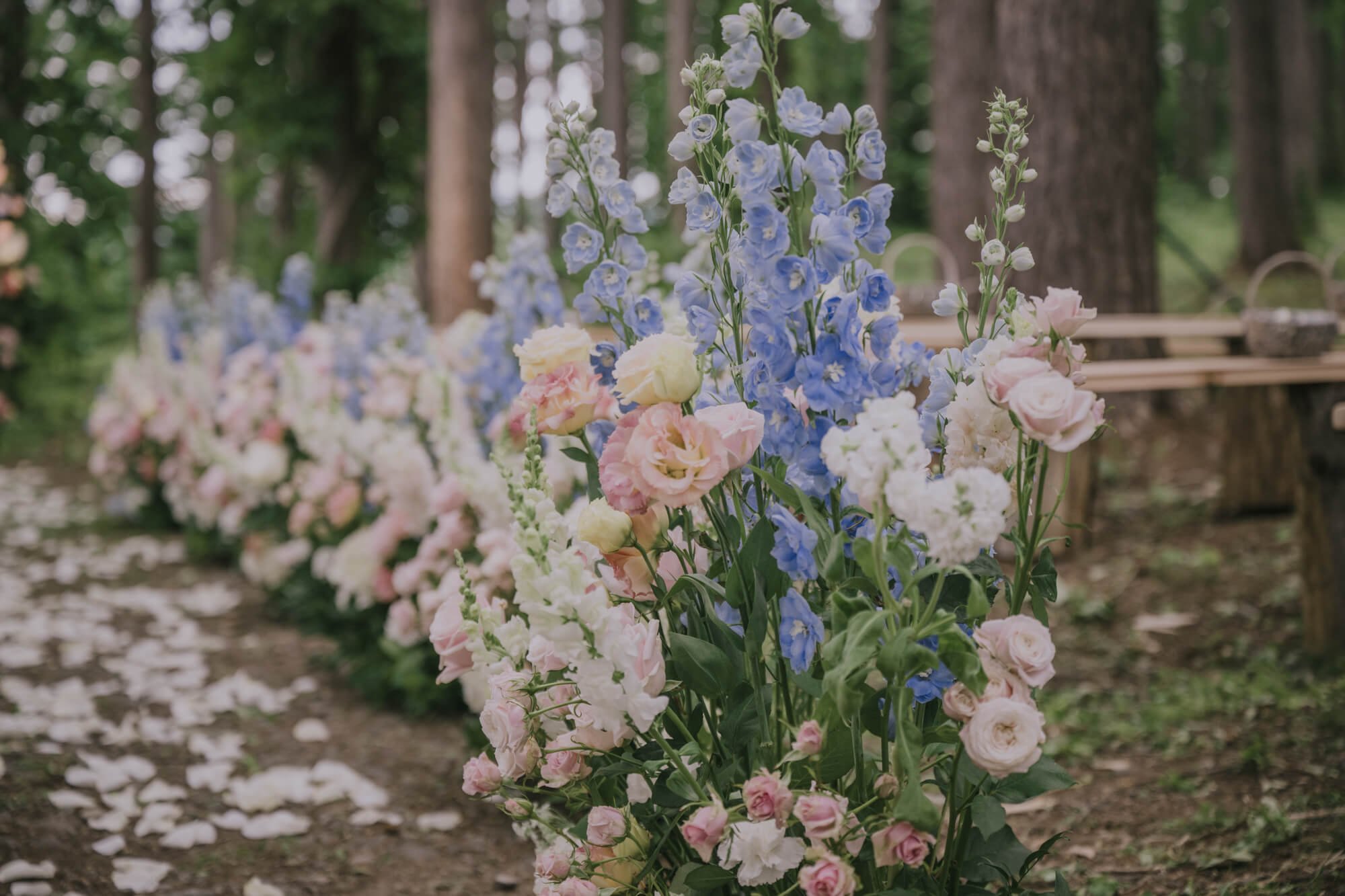 Tall pink and blue flowers lining wedding aisle