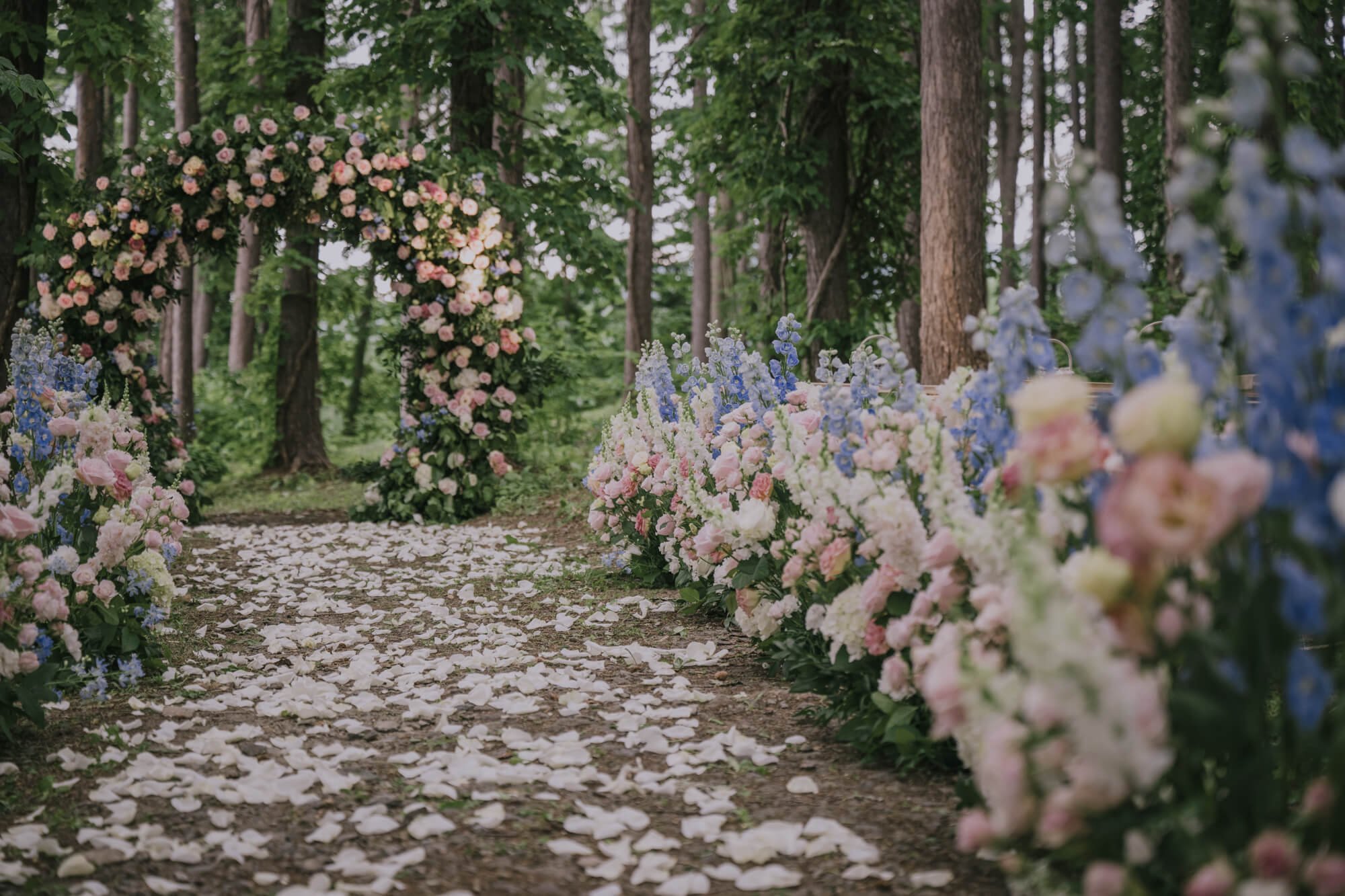 Wedding aisle covered in petals and lined with flowers