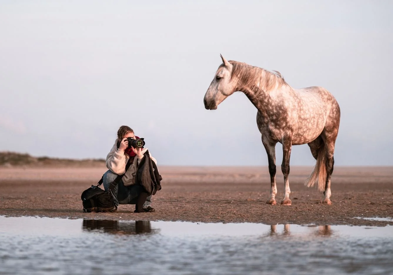 FGP_6273x small cut.JPG