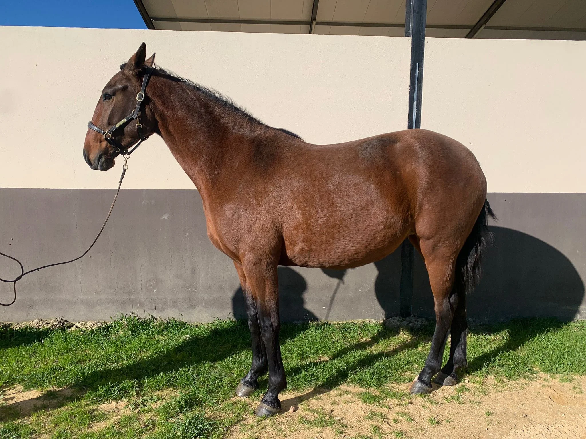 PHOTO-2026-01-05-12-49-32 3.jpg