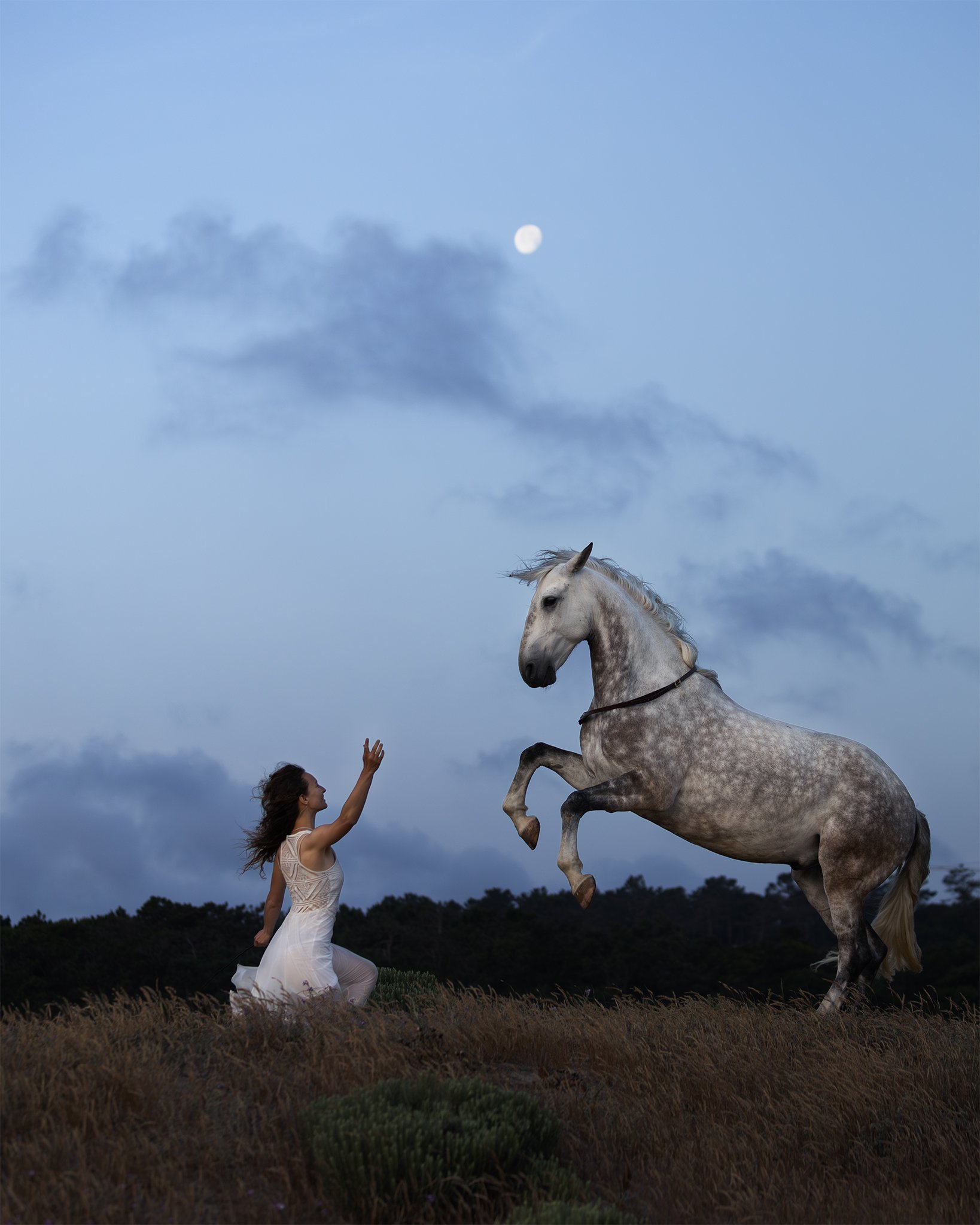 Im Bann der Pferde - Abenteuer Fotoreise