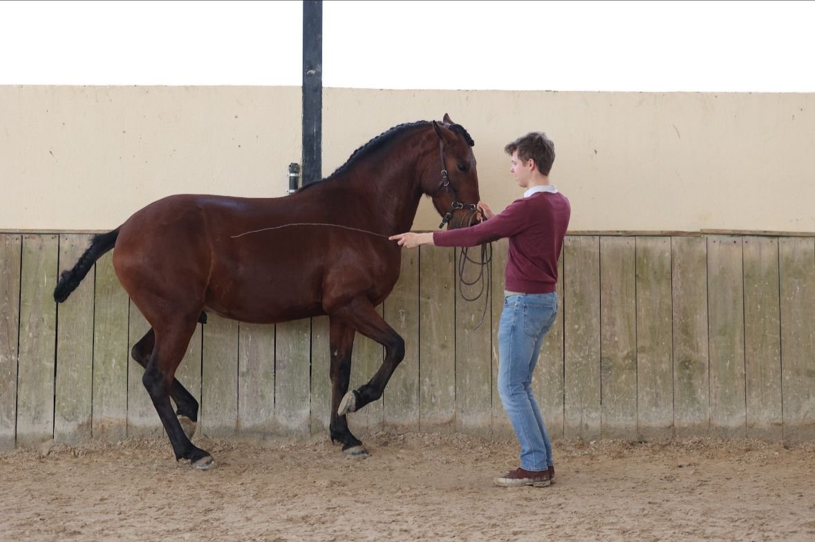 WhatsApp Image 2026-01-31 at 15.47.43-3.jpeg