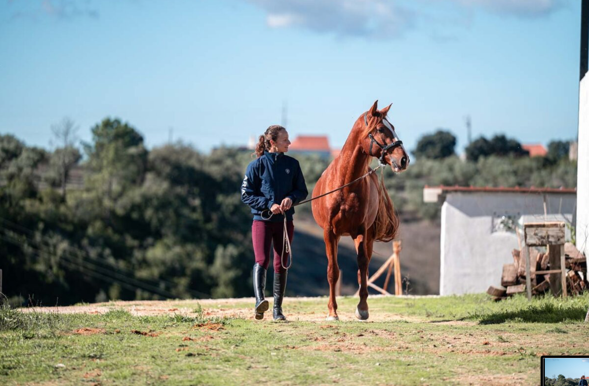 Bildschirmfoto 2025-12-15 um 21.03.55.png