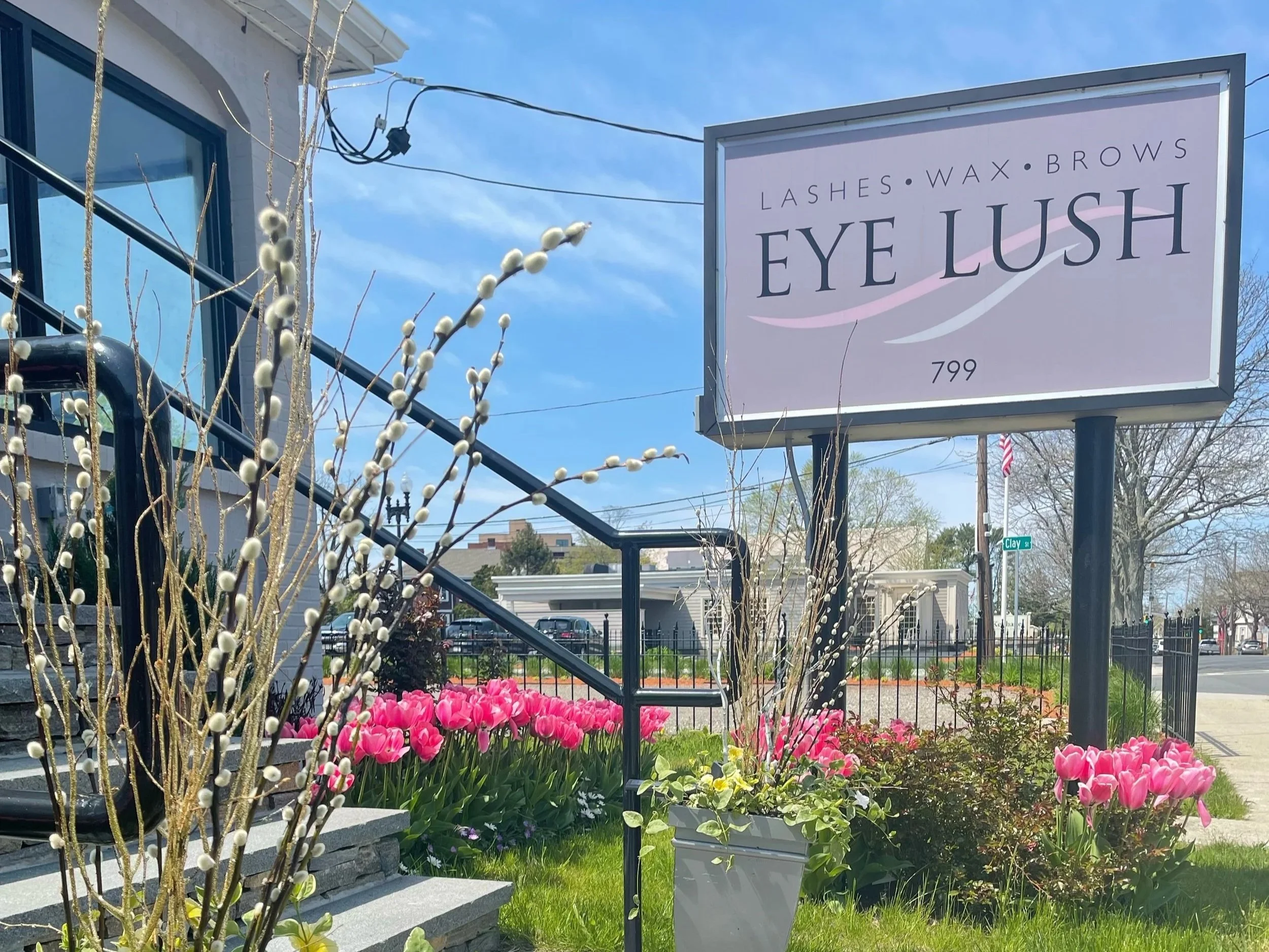 Eye Lush | Thuy Leung