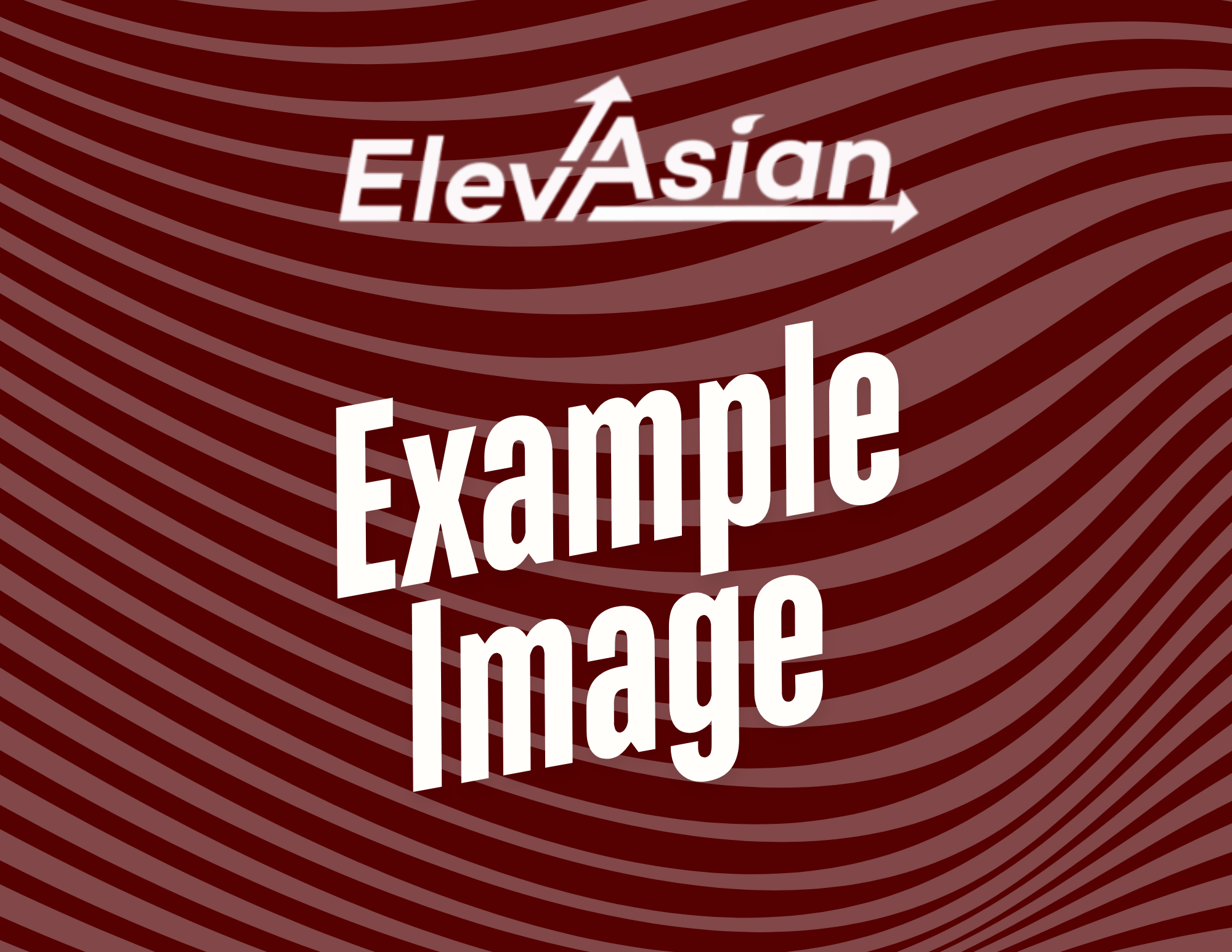 ElevAsian New Venture Cohort Program