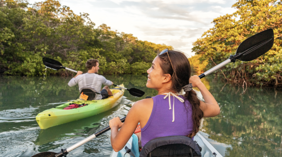 Mangrove Escape: Kayaking & Yoga Adventure