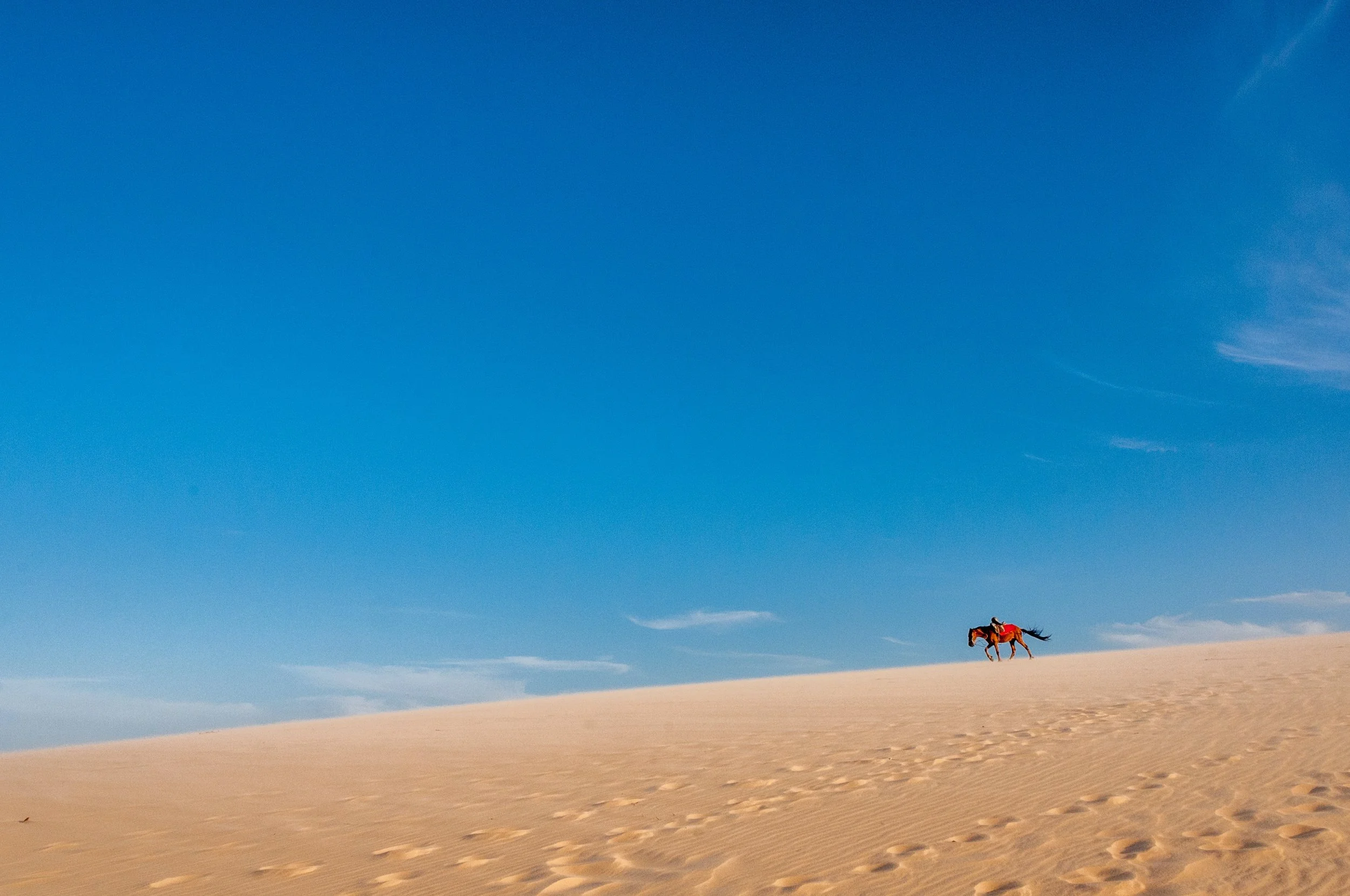 Explore the Dunes on Horseback