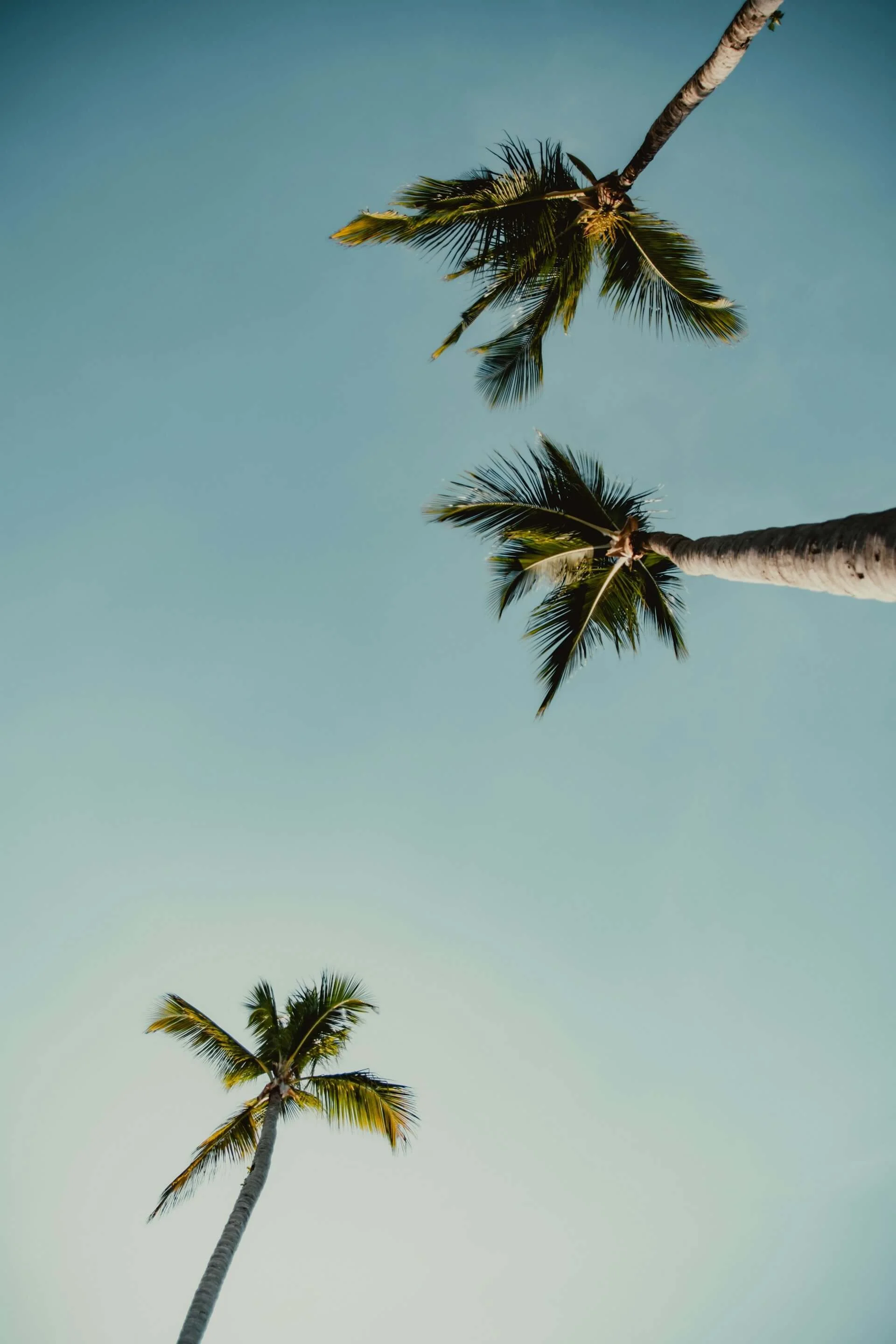 From Self-Doubt to Self-Trust: Overcoming Unassertive Thinking
