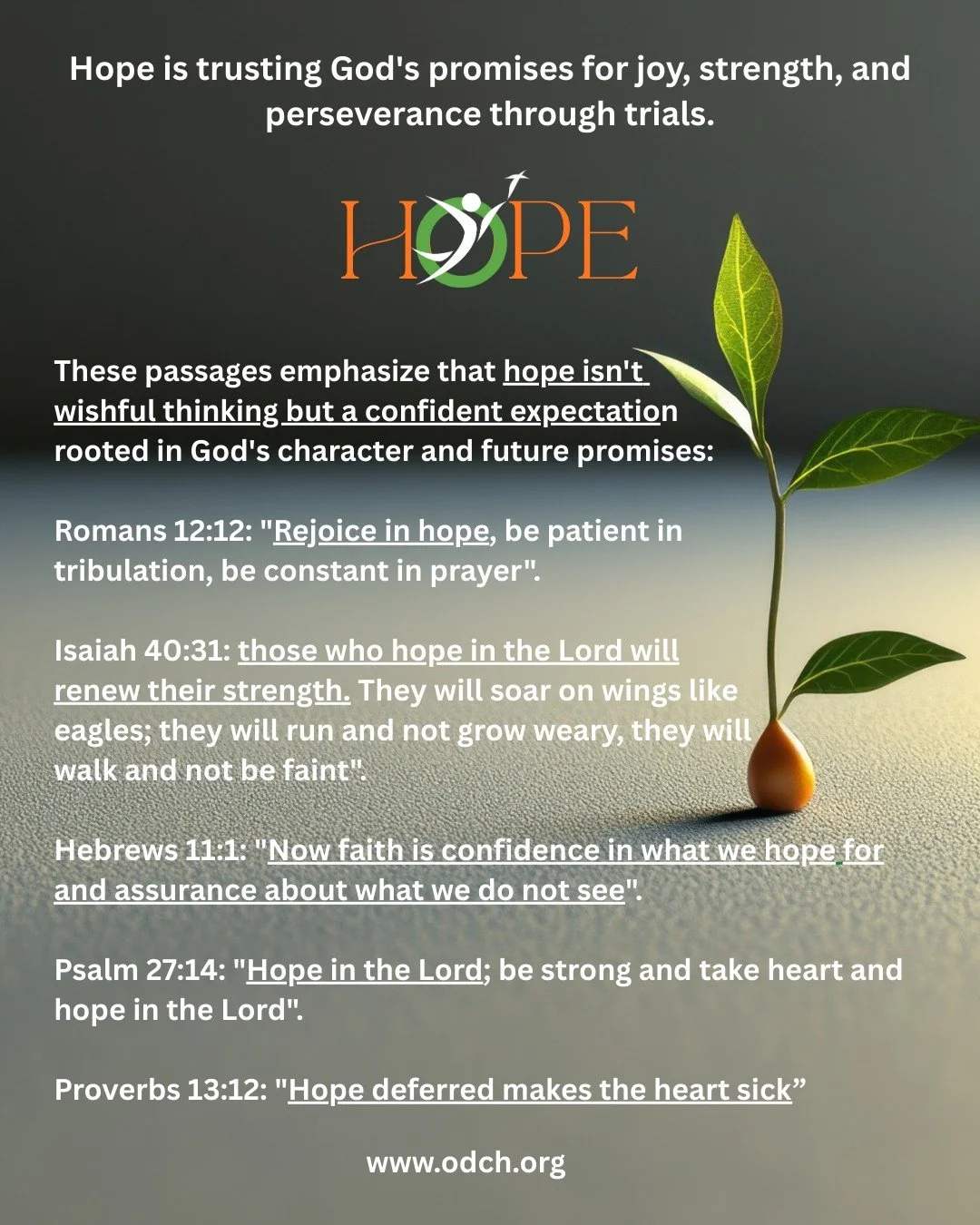 Hope is a confident expectation. trusting God's promises for joy, strength, and perseverance through trials.
