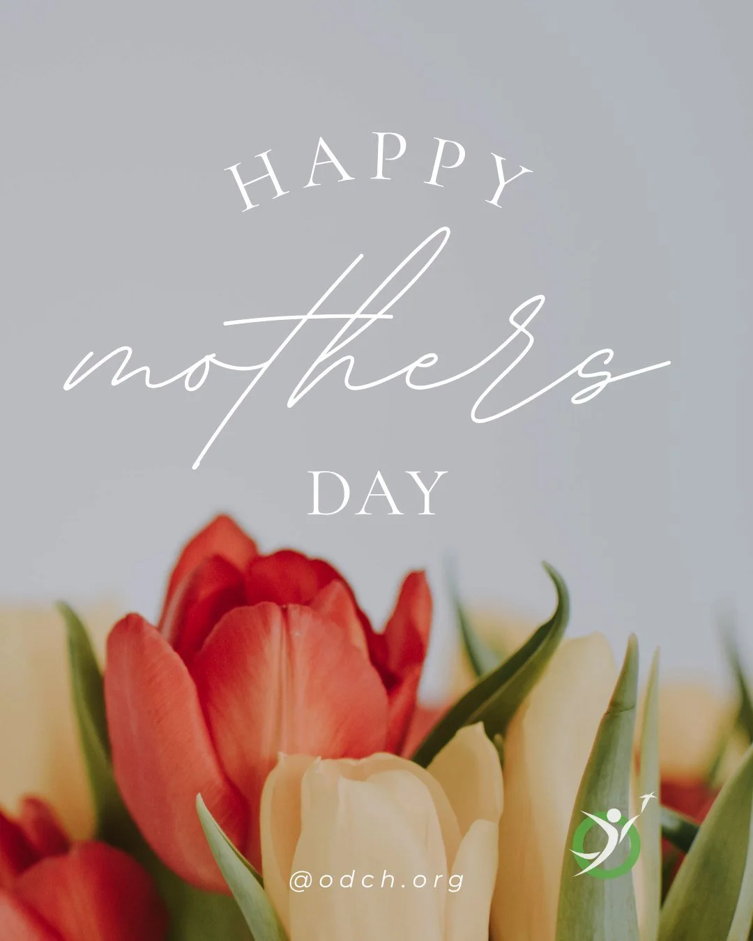 Thank you to all the moms, grandmoms, bonus moms, aunts, sisters, teachers, and all the women who are mom figures to us! Happy Mother's Day💗