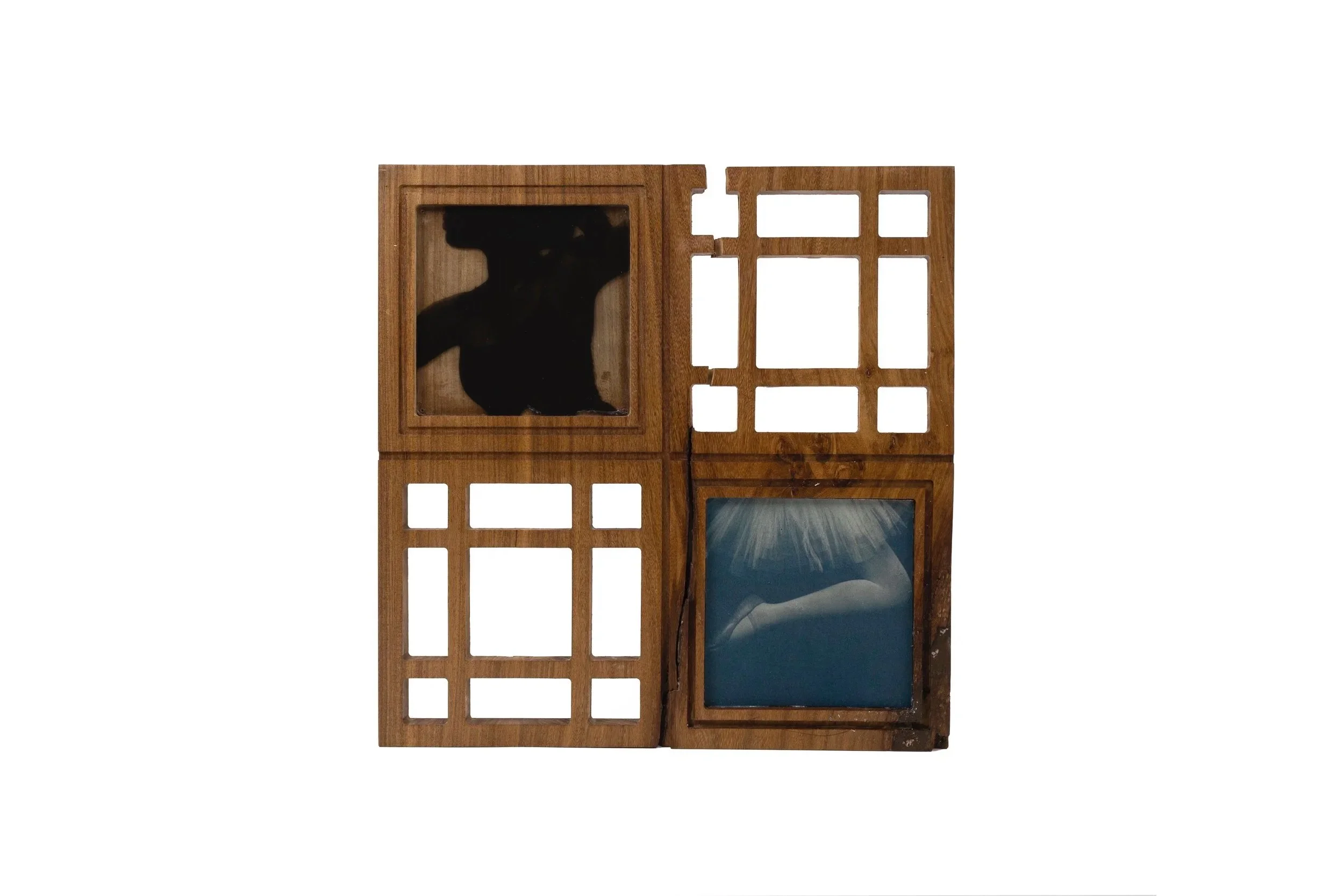   carried by song, 2026   Cyanotype, Silver Gelatin on Acrylic, Wood,   41 x 41 cm 