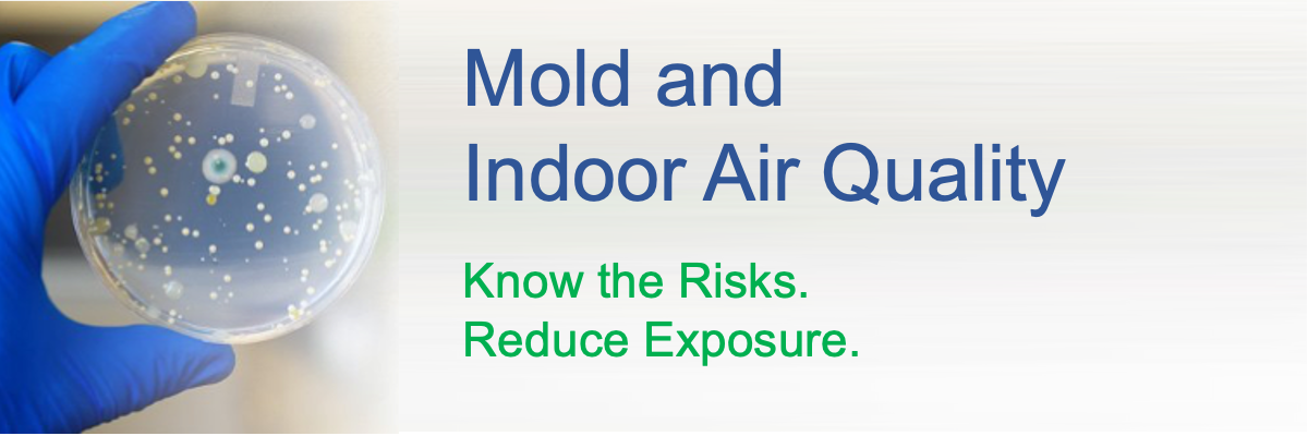 Mold Remediation  Mold Cleanup Mold Testing PA NJ DE