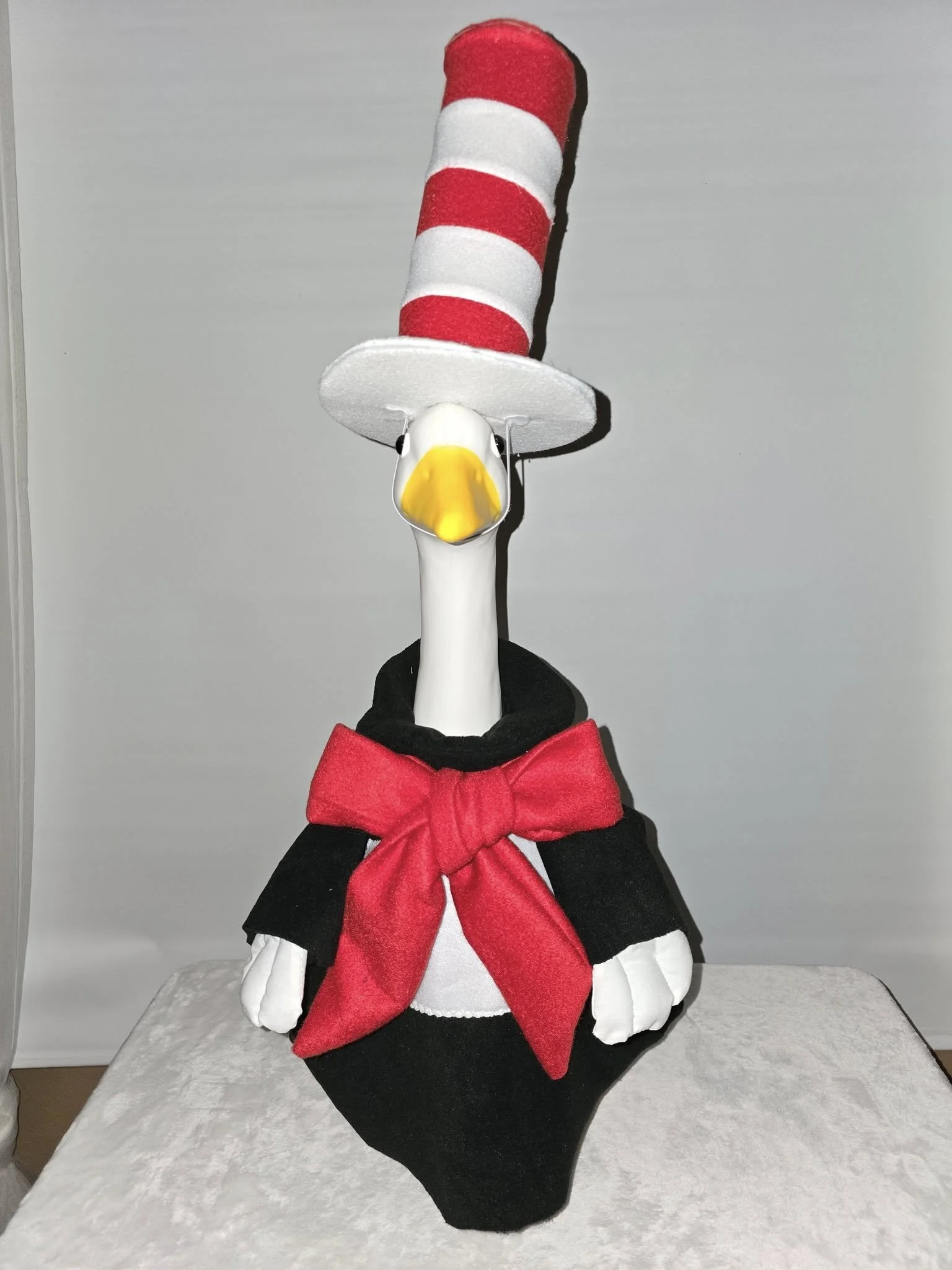 Dr. Suess Cat & The Hat Boy or Girl