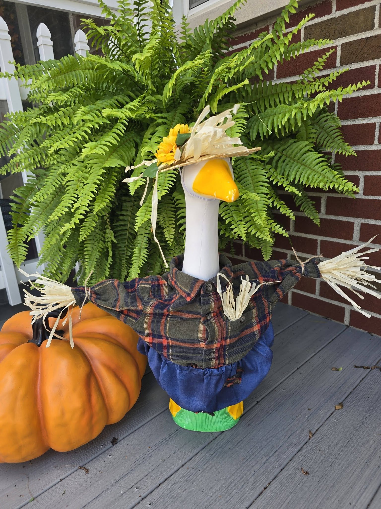 Scarecrow Goose Outfit