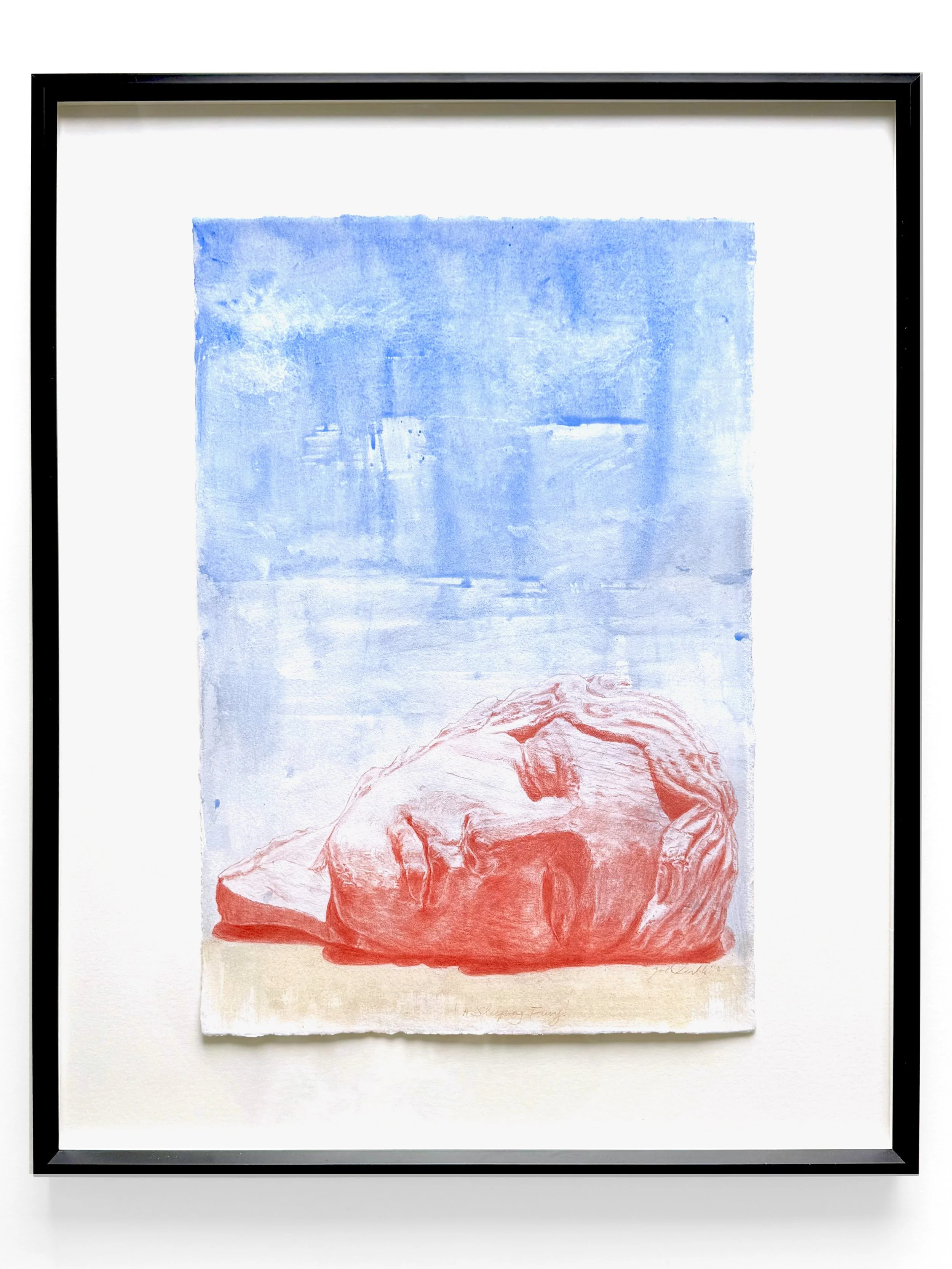 Sleeping Fury Framed.jpg