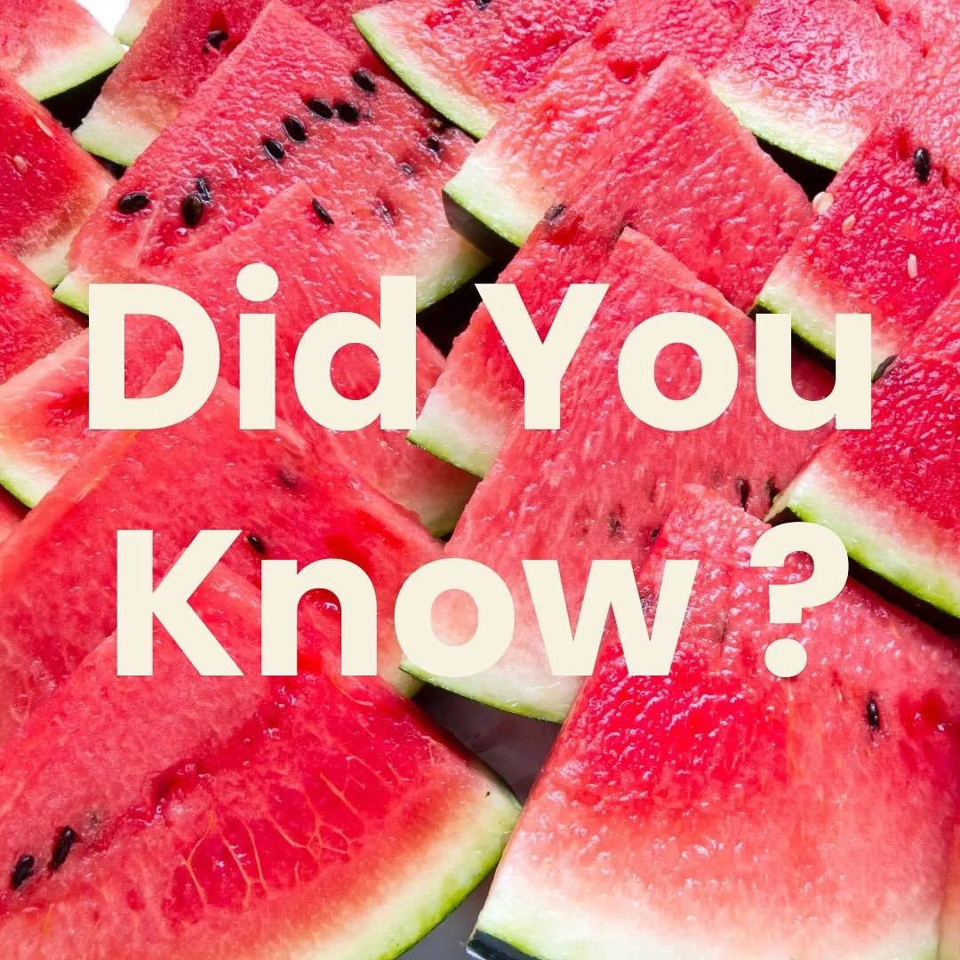 🍉🐾 Did You Know?
Watermelon = the ultimate summer treat for your pup! ☀️

💧 Hydration Hero &ndash; With 92% water, it helps keep your dog cool + hydrated.
🥗 Guilt-Free &ndash; Low in calories + fat-free = perfect snack.
✨ Antioxidant Power &ndash