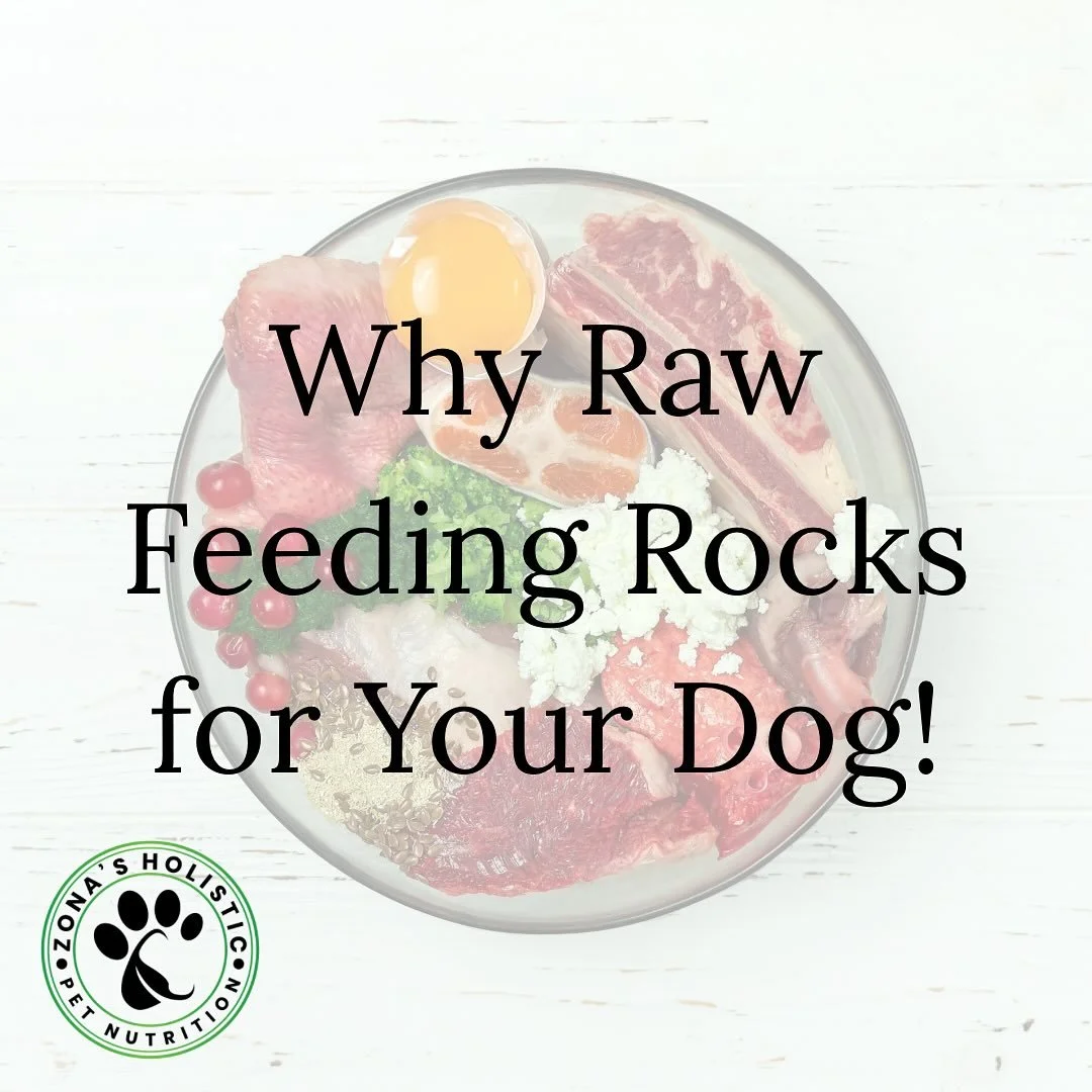 Benefits of Raw Feeding for Dogs

🌱 Closer to Nature: Mimics what dogs were designed to eat&mdash;fresh, whole, species-appropriate foods.

💪 Stronger Immune System: Nutrient-dense meals help your pup fight off illness and stay vibrant.

🦷 Sparkli