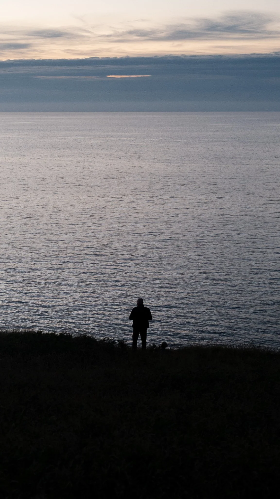 Silhouette of a person standing on a grassy shoreline looking out at the calm ocean during dusk or dawn, with a partly cloudy sky above.