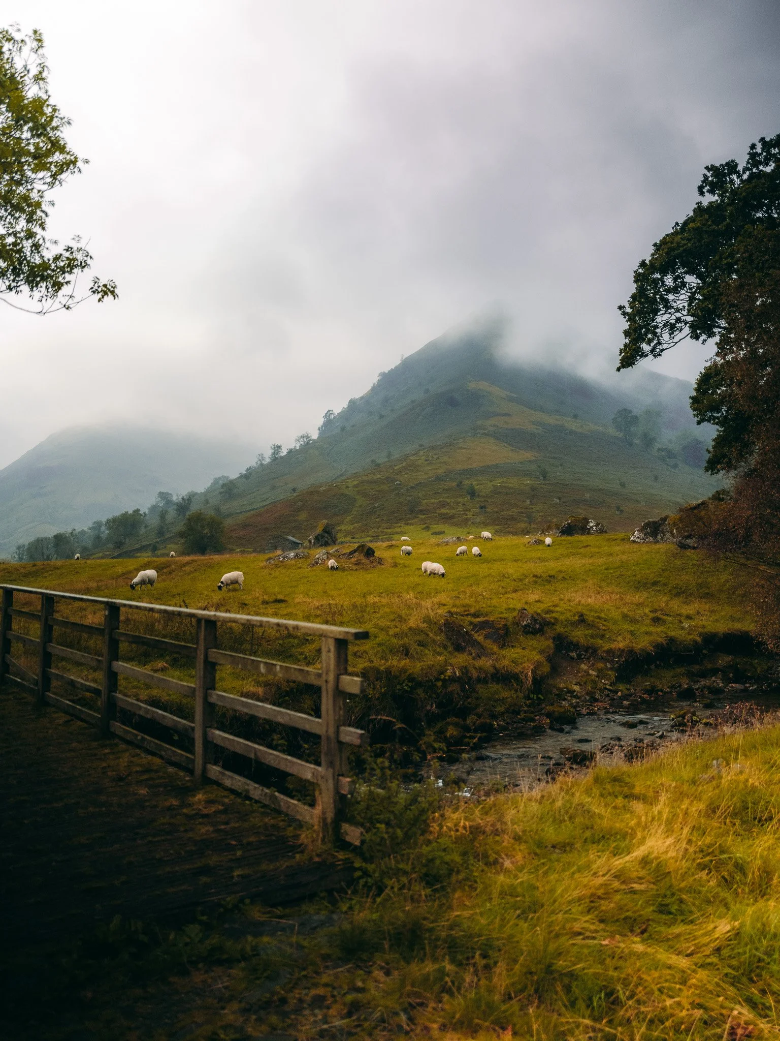 Grazing sheep in a lush green field with mountains and mist in the background, over a small stream, on a cloudy day.