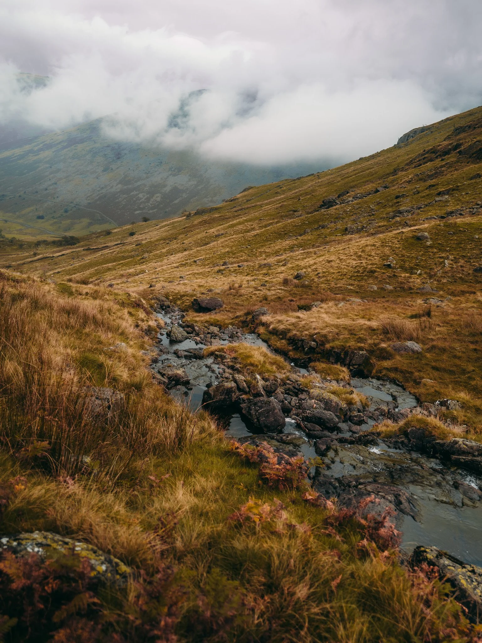 A mountain landscape with a small stream flowing through grassy terrain and cloud-covered peaks in the background.