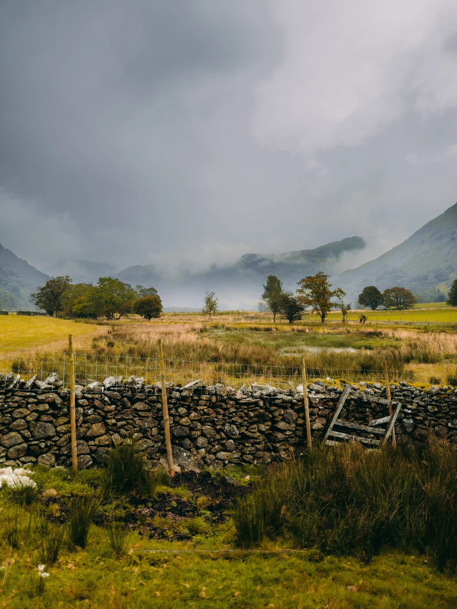 A rural landscape with a stone wall, grassy fields, trees, mountains, and a cloudy sky.