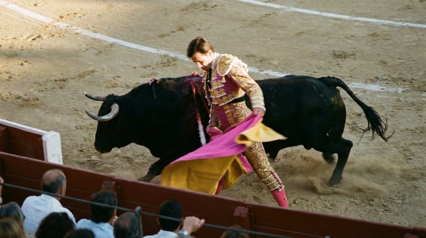 Matador dressed in ornate pink and gold costume in a bullfighting ring, facing a charging black bull.