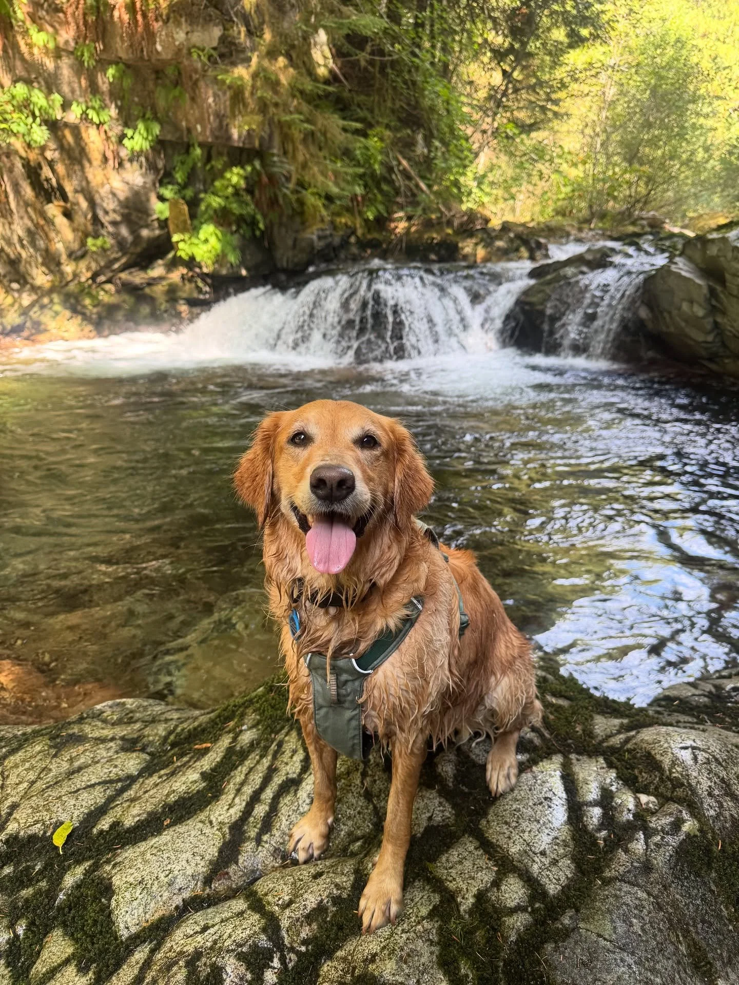 Friday fun with furry friends! 🥳
