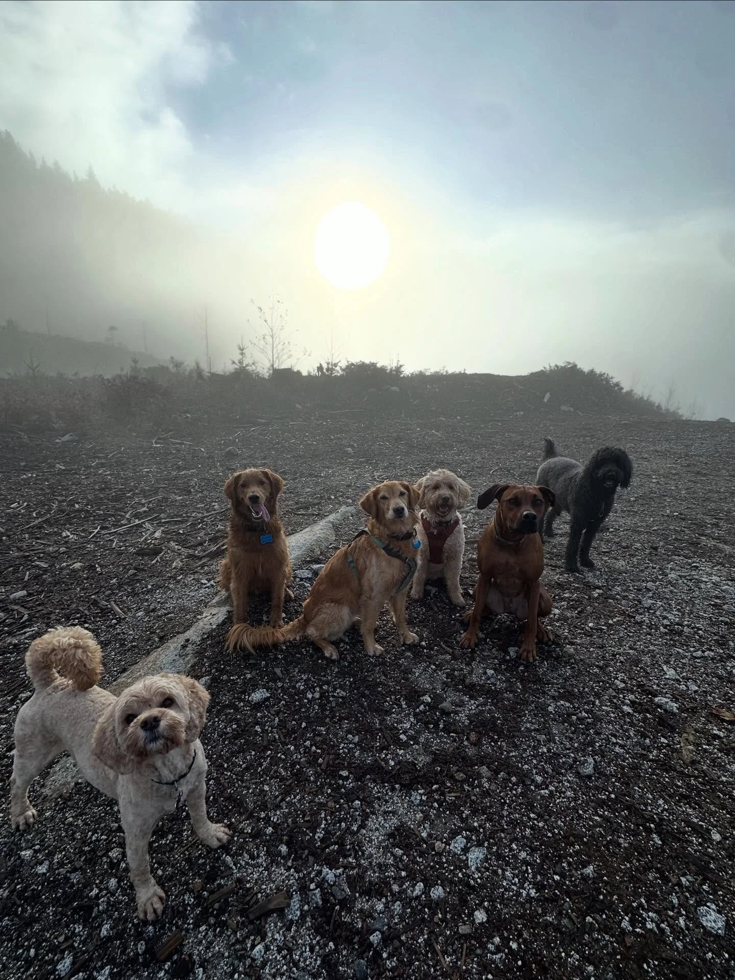 A morning in the clouds ☁️🤍🌫️