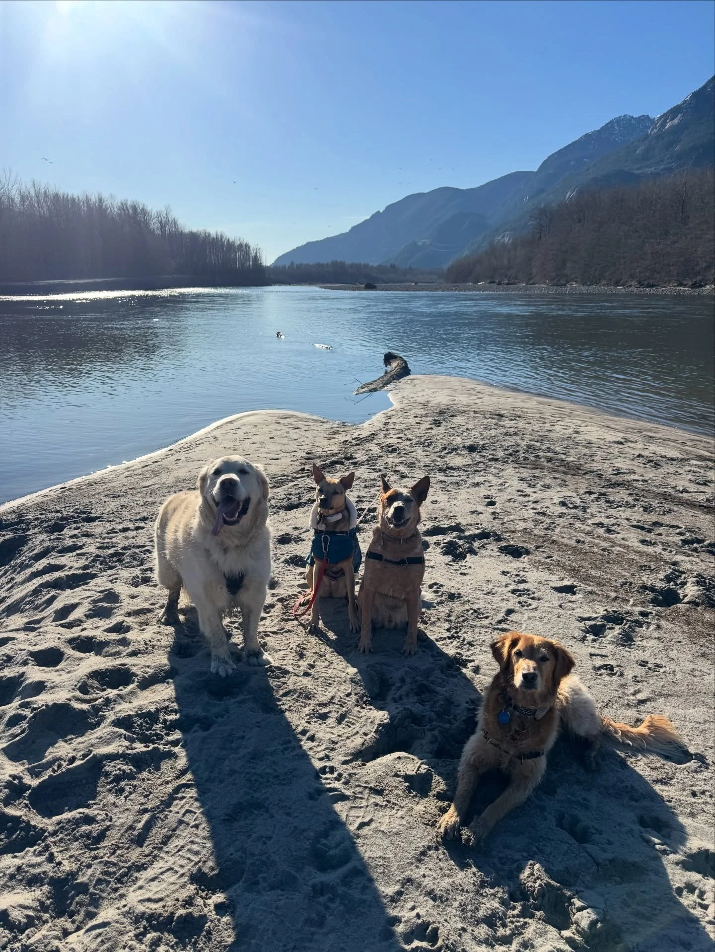 Happy Friday from the beach!! ☀️