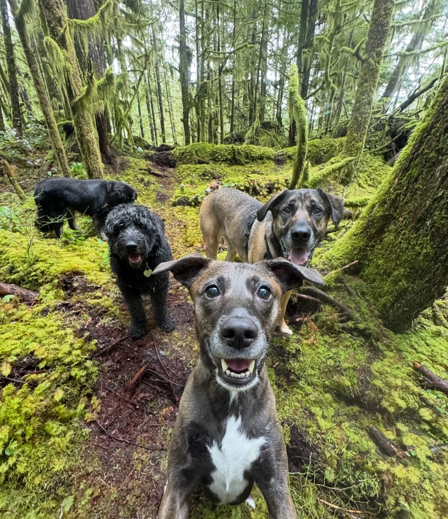 Frankie &amp; Friends 💛