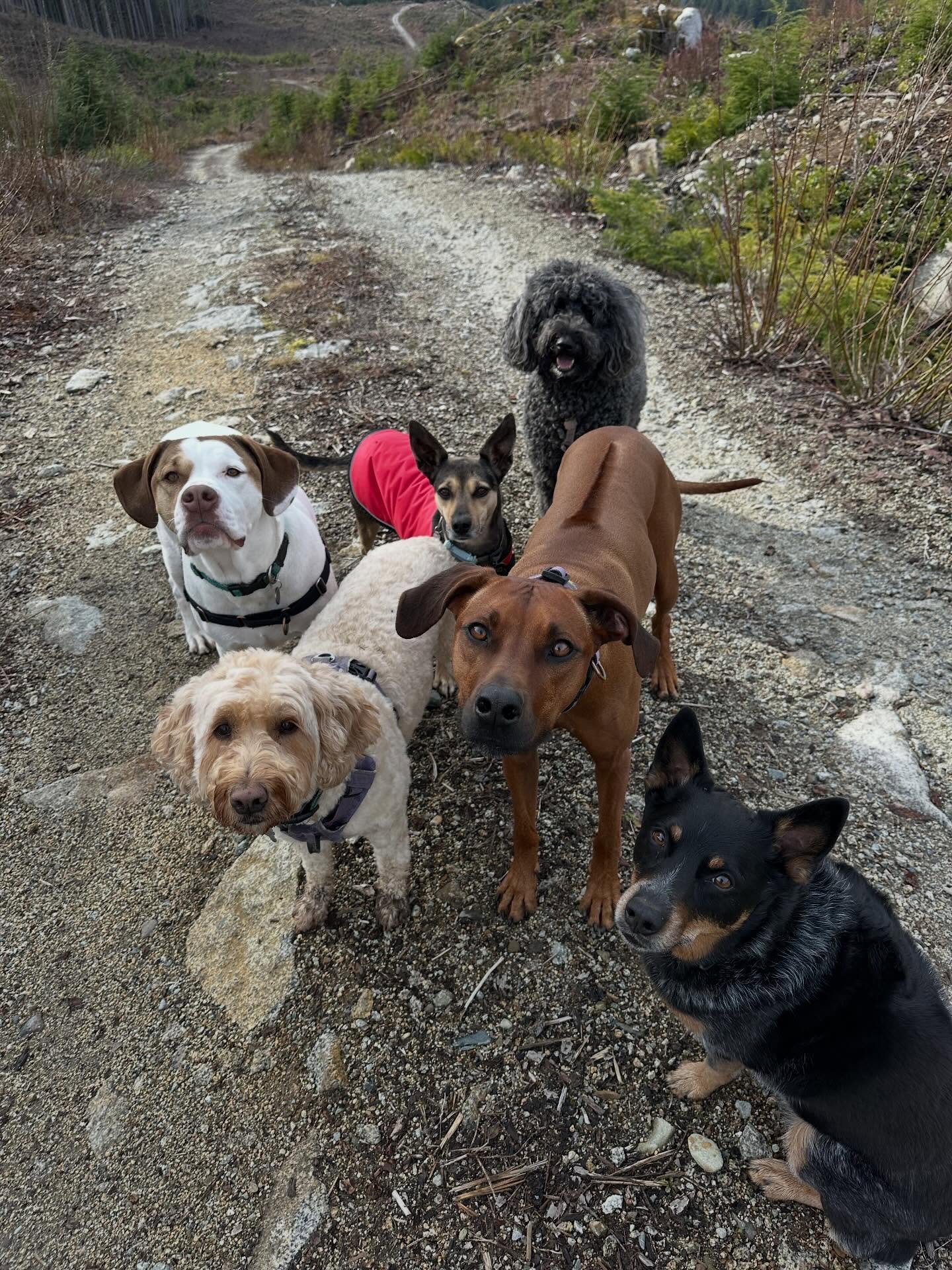 A fun morning in the mountains with some great pals AND clear skies- not sure what more you could ask for 🤩💛